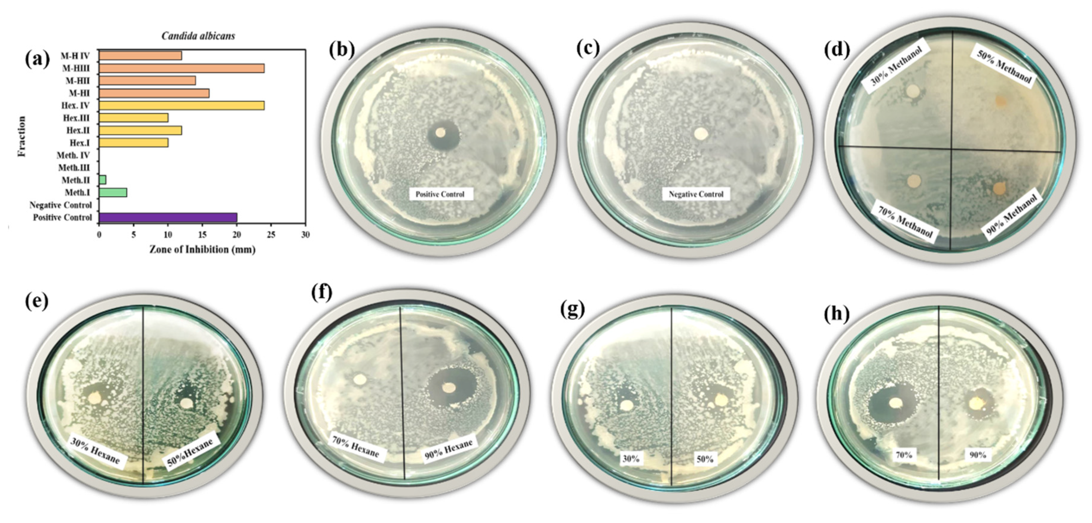 Molecules 25 03478 g010 Molecules 25 03478 g010