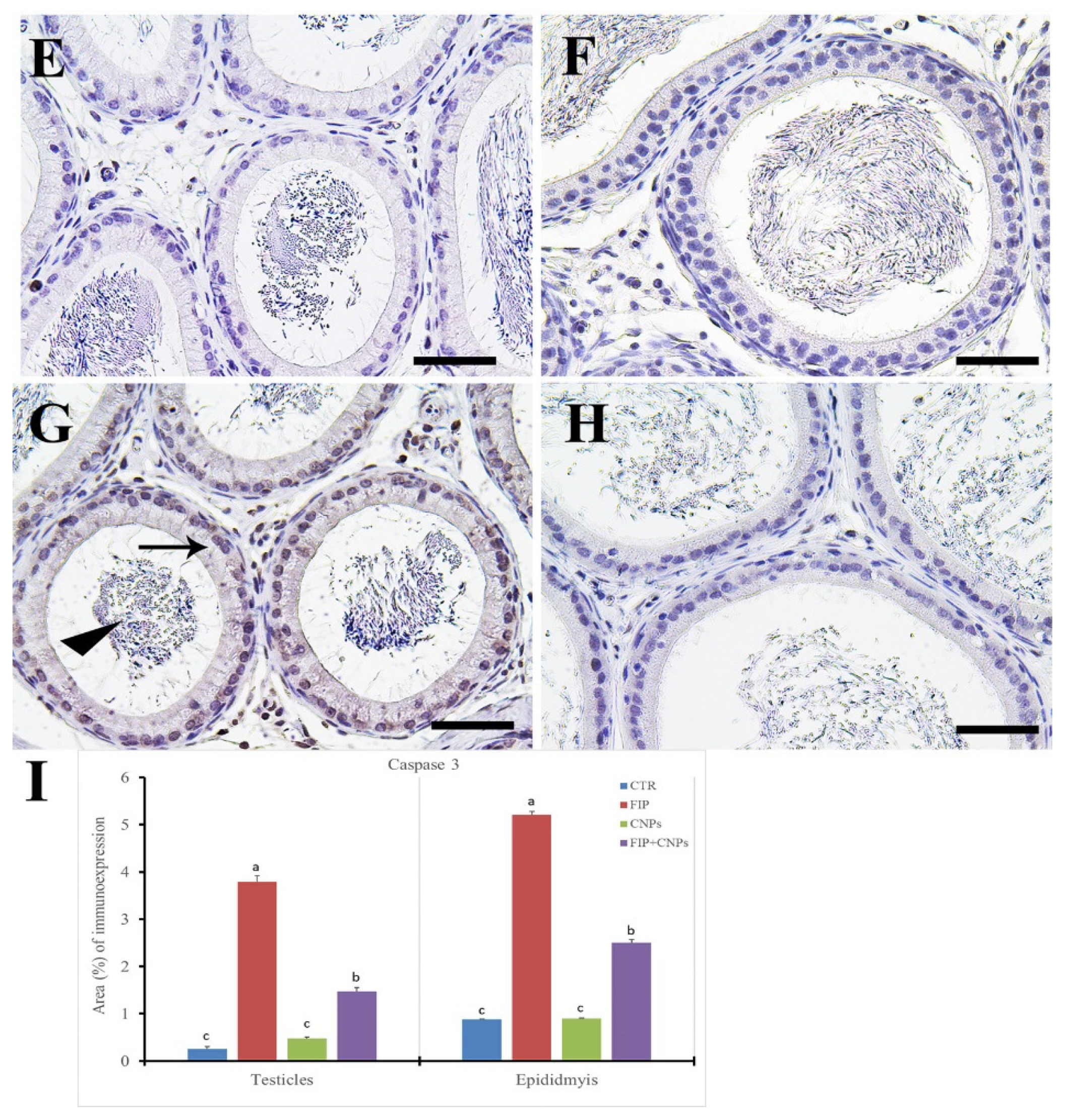 Molecules 25 03479 g003b