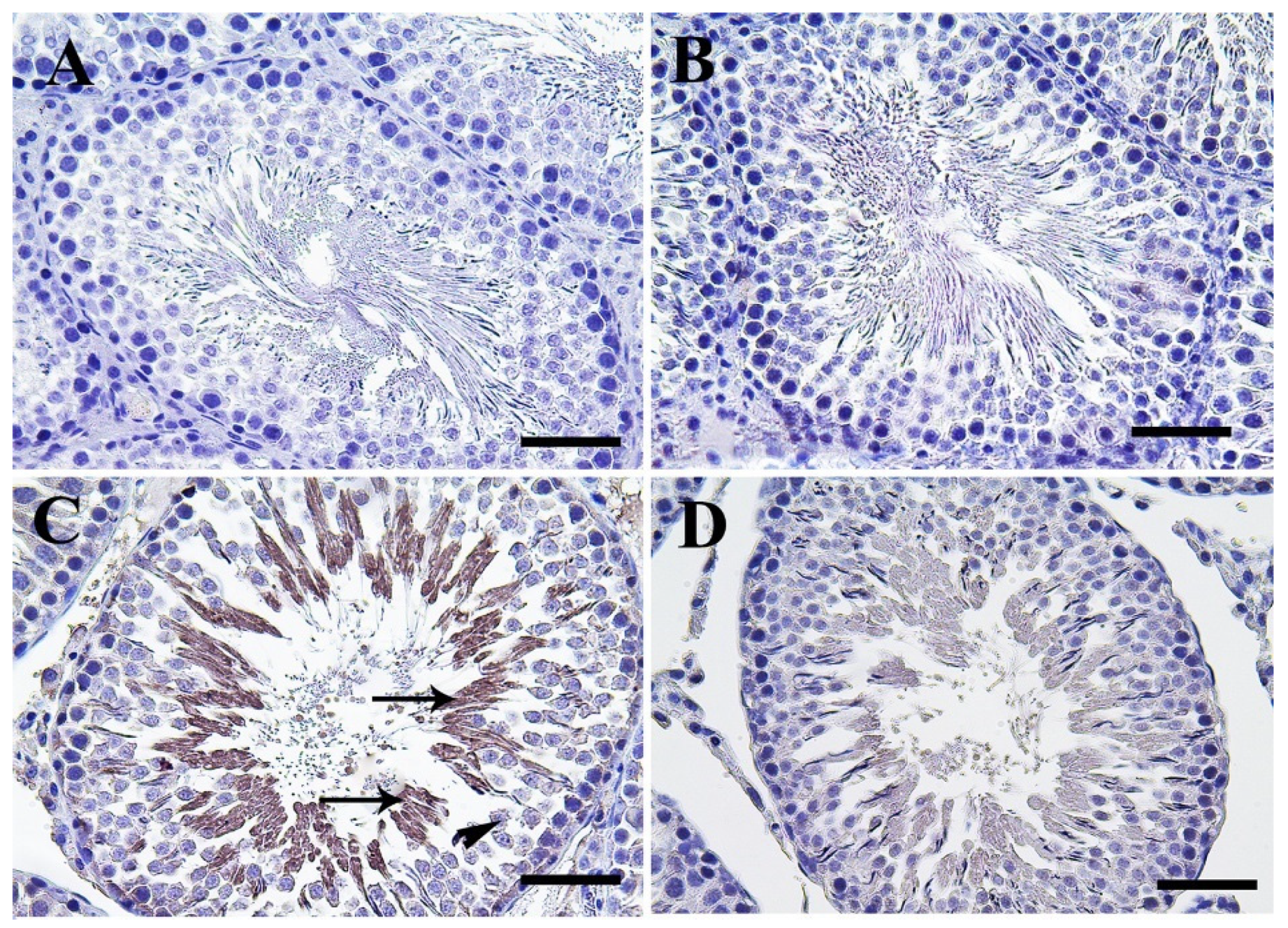 Molecules 25 03479 g005a