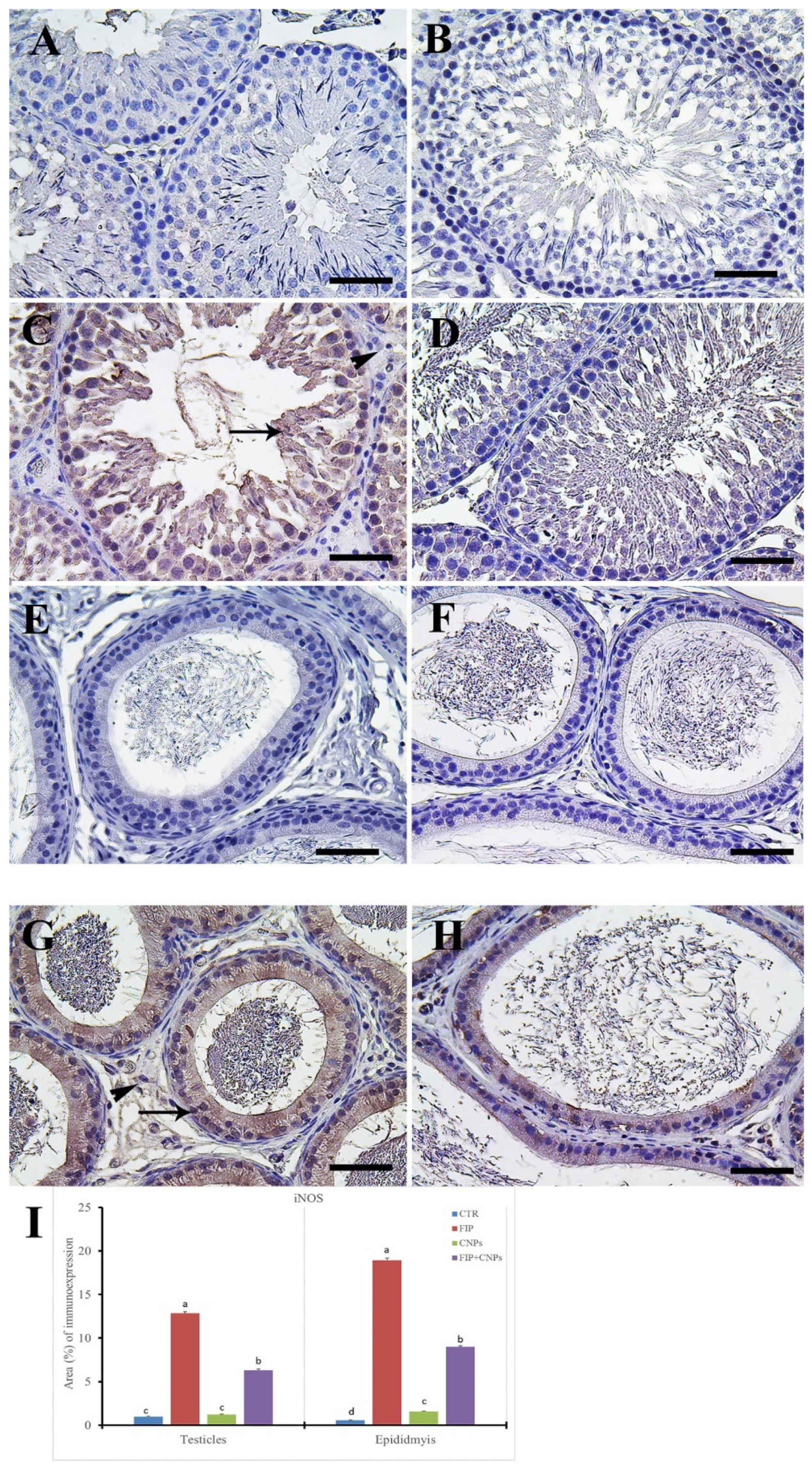 Molecules 25 03479 g006