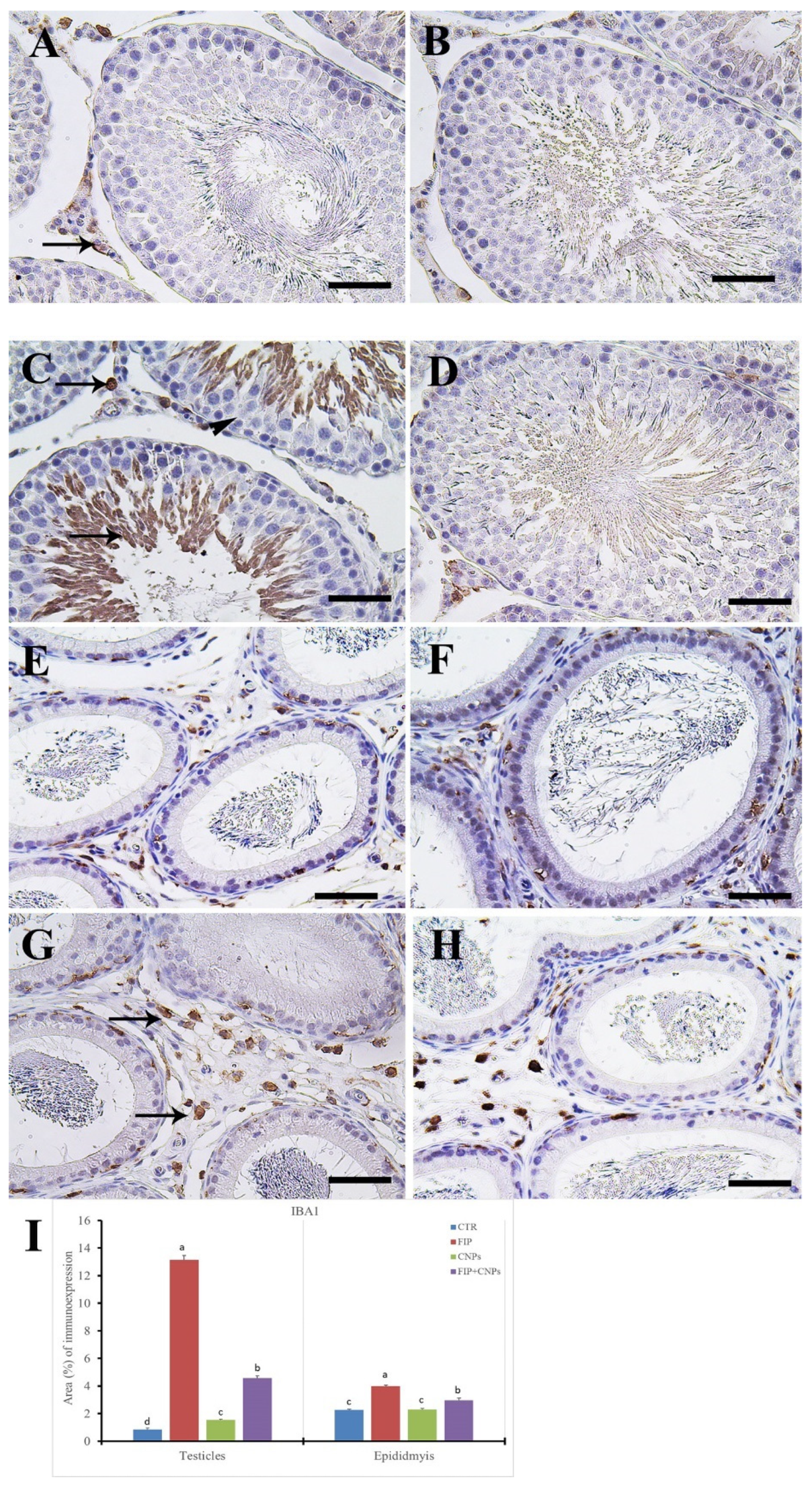 Molecules 25 03479 g007