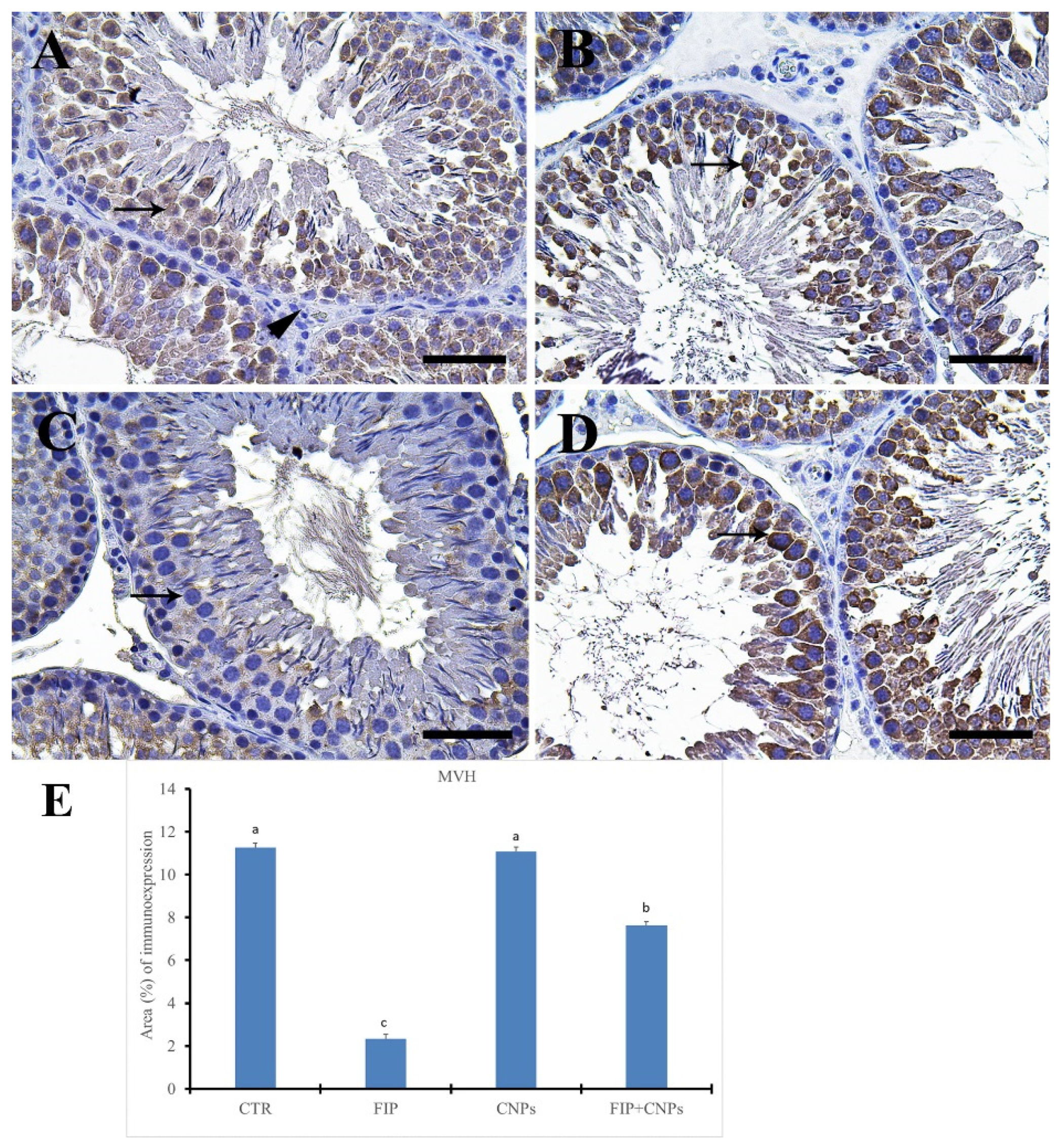 Molecules 25 03479 g008