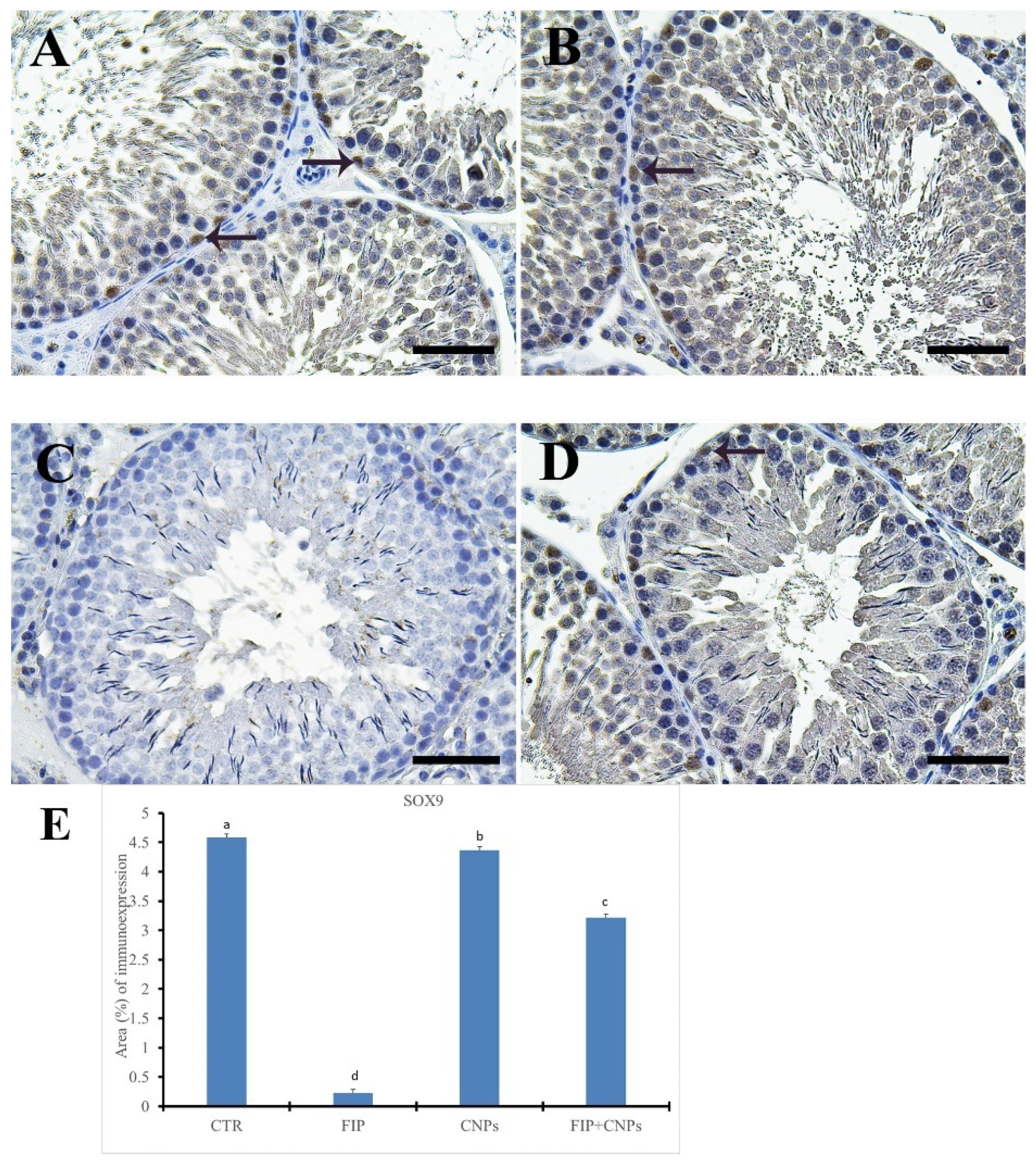 Molecules 25 03479 g009