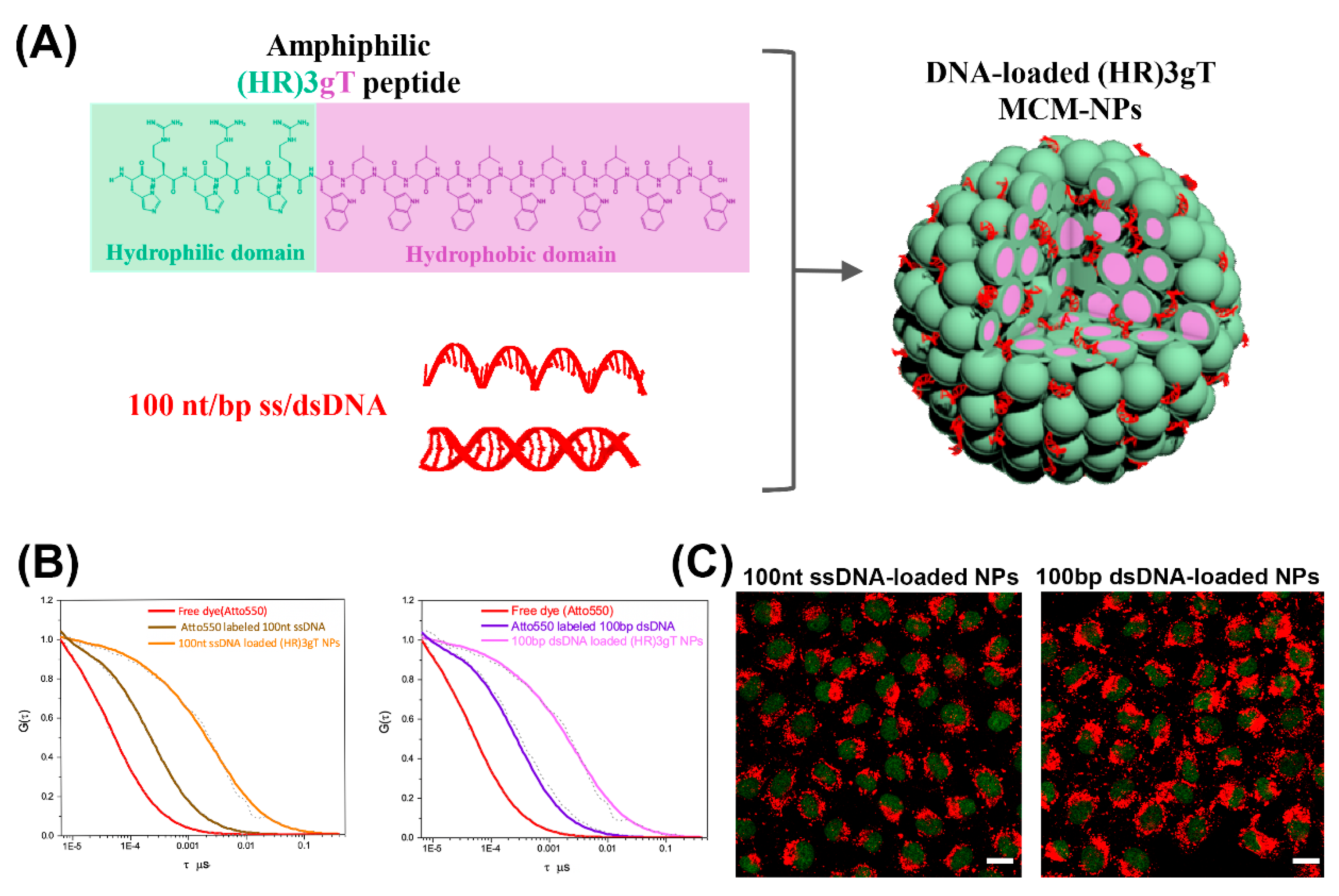 Molecules 25 03482 g002 Molecules 25 03482 g002