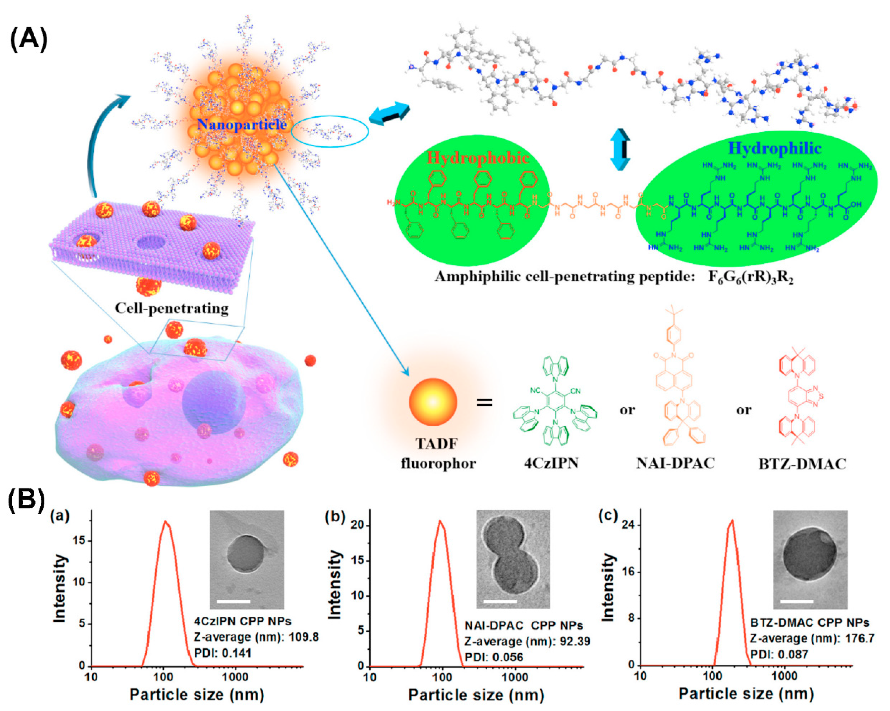 Molecules 25 03482 g008 Molecules 25 03482 g008
