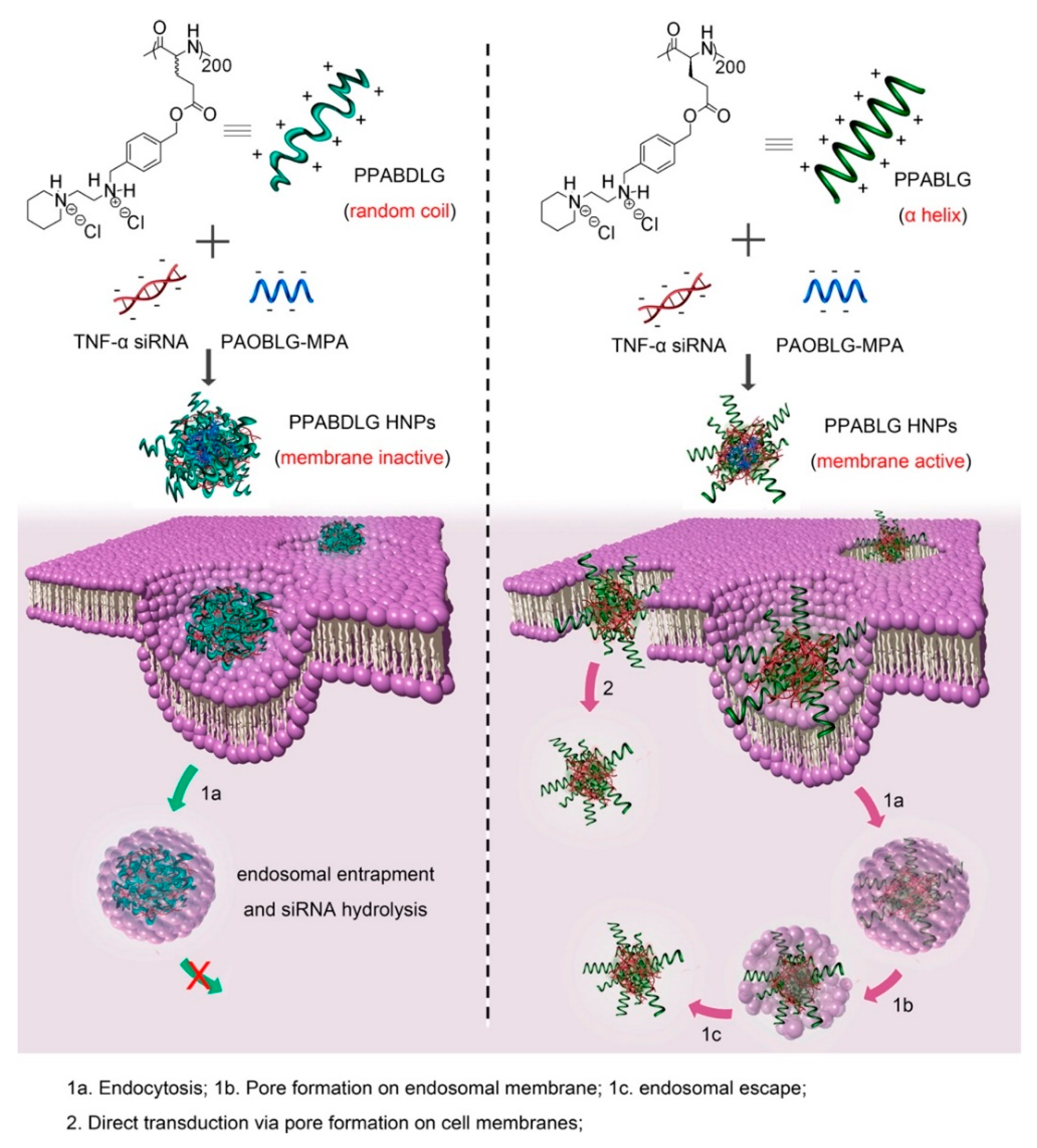 Molecules 25 03482 g012 Molecules 25 03482 g012