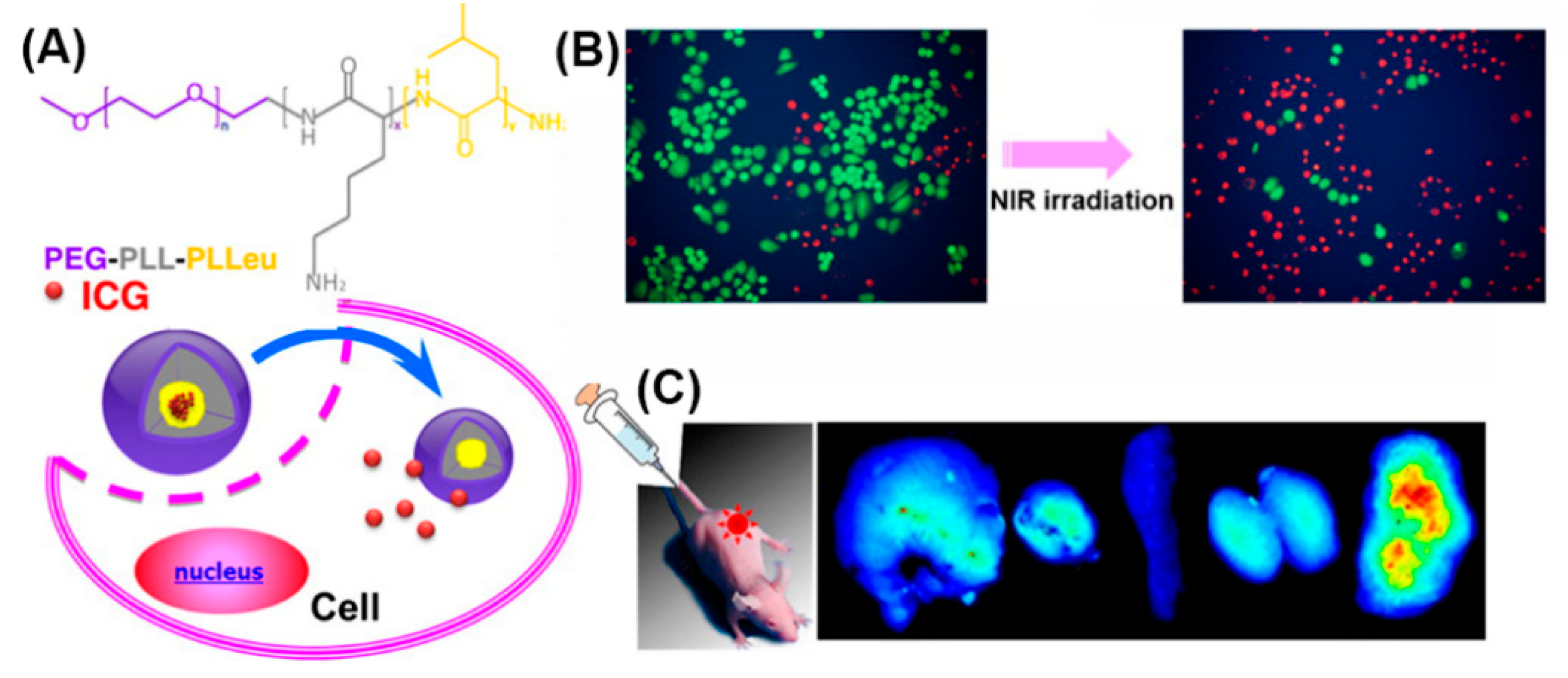 Molecules 25 03482 g017 Molecules 25 03482 g017