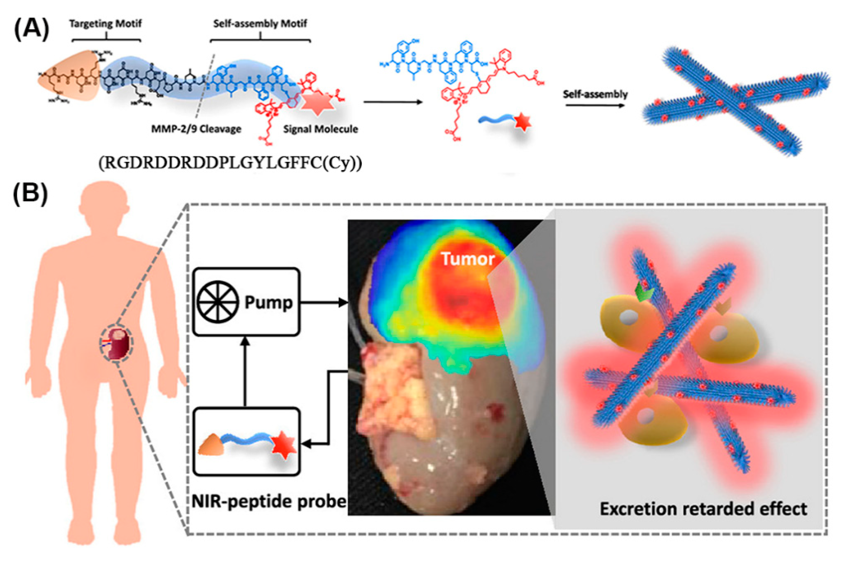 Molecules 25 03482 g018 Molecules 25 03482 g018