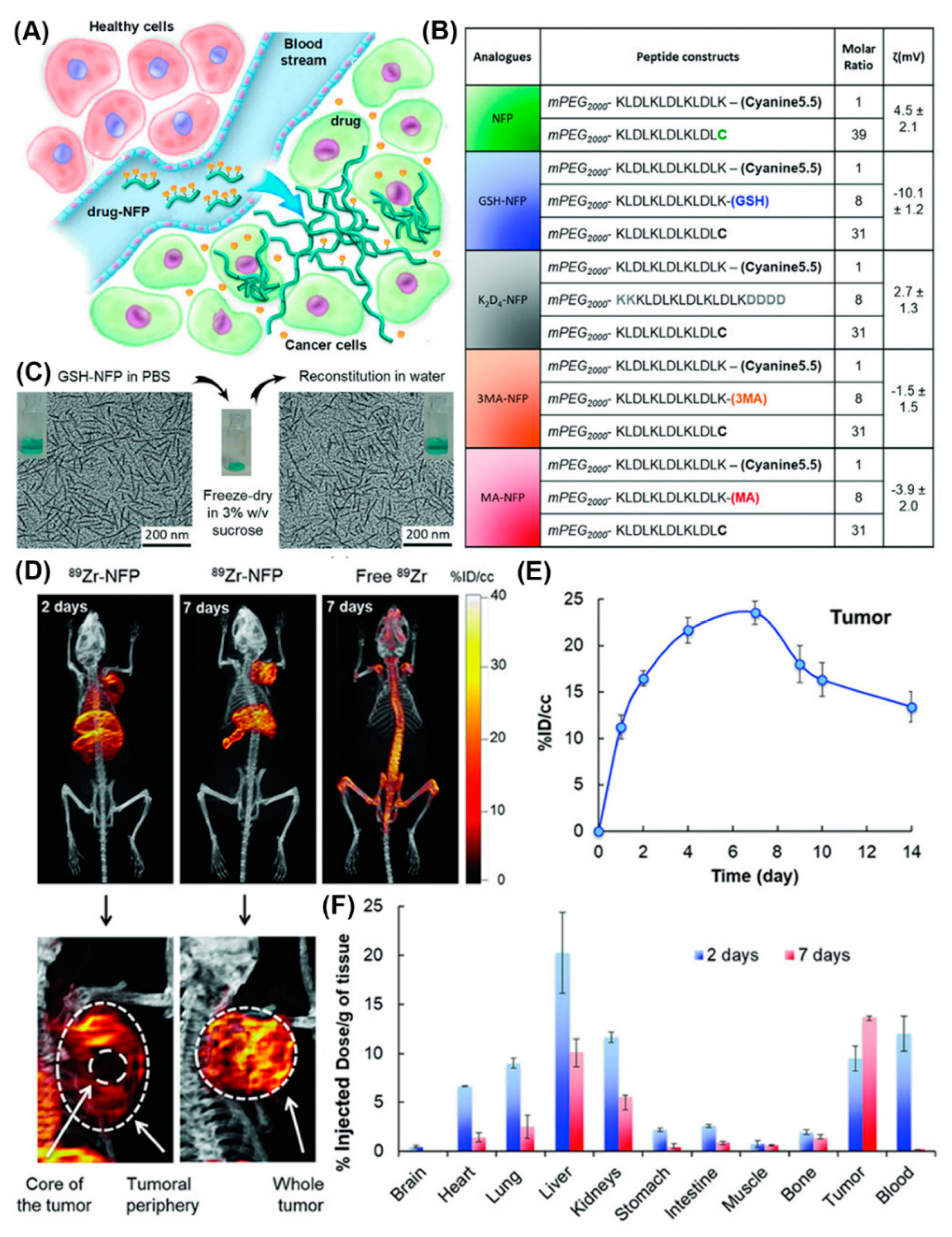 Molecules 25 03482 g019 Molecules 25 03482 g019