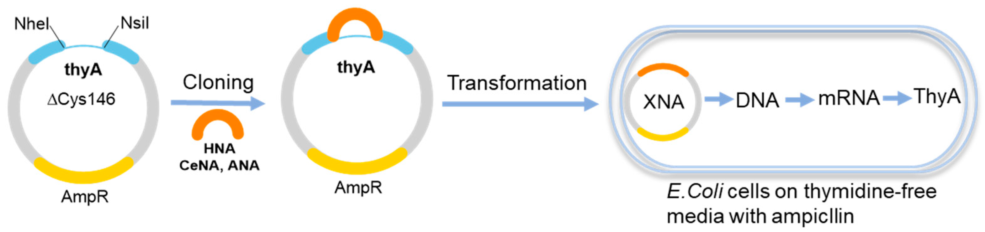 Molecules 25 03483 g003 Molecules 25 03483 g003