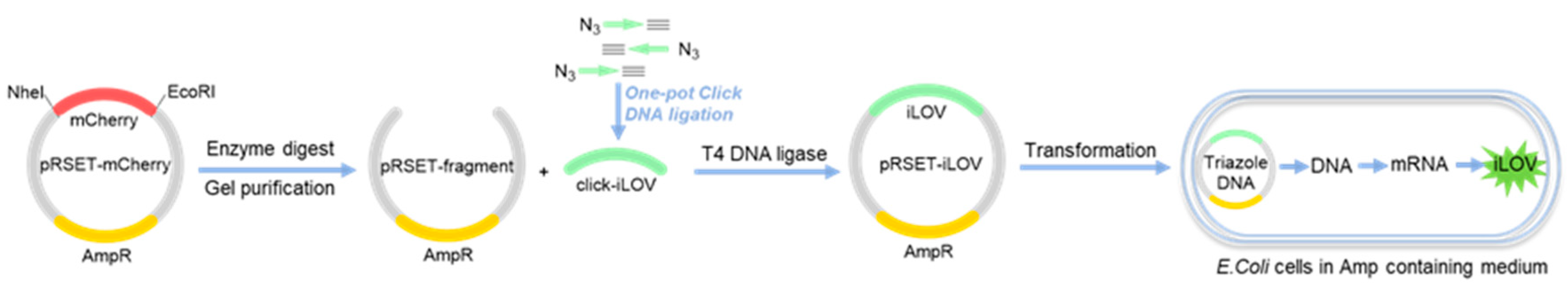 Molecules 25 03483 g006 Molecules 25 03483 g006