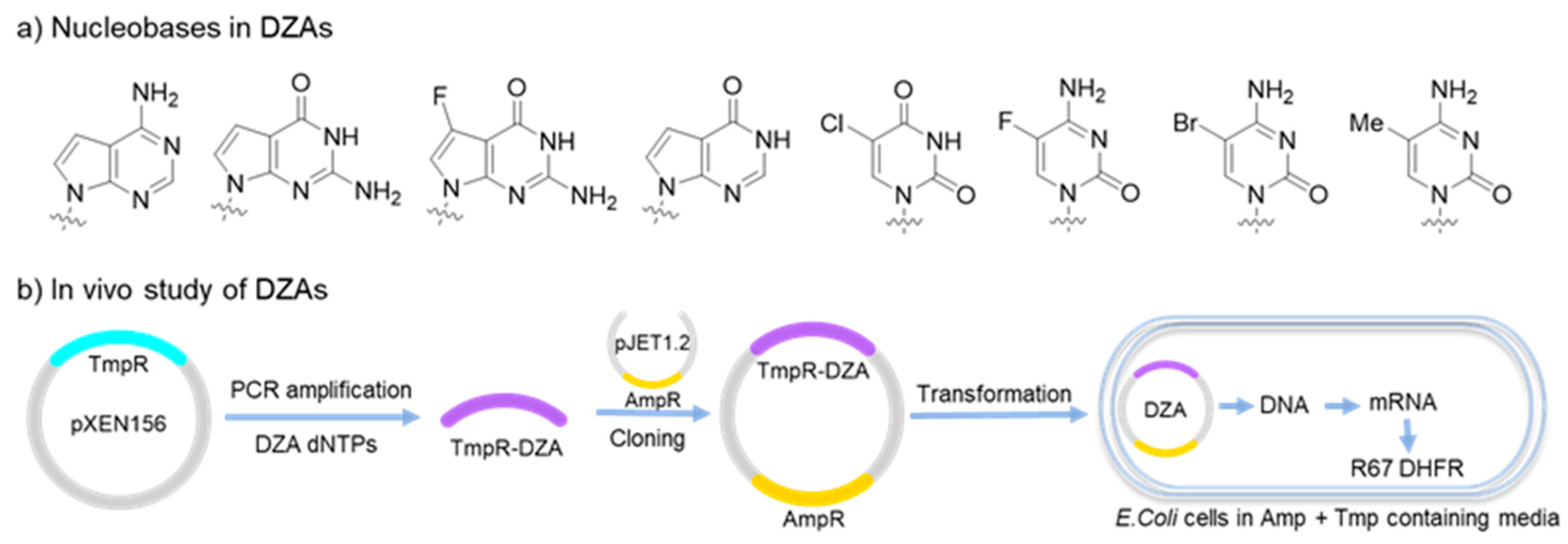 Molecules 25 03483 g008 Molecules 25 03483 g008