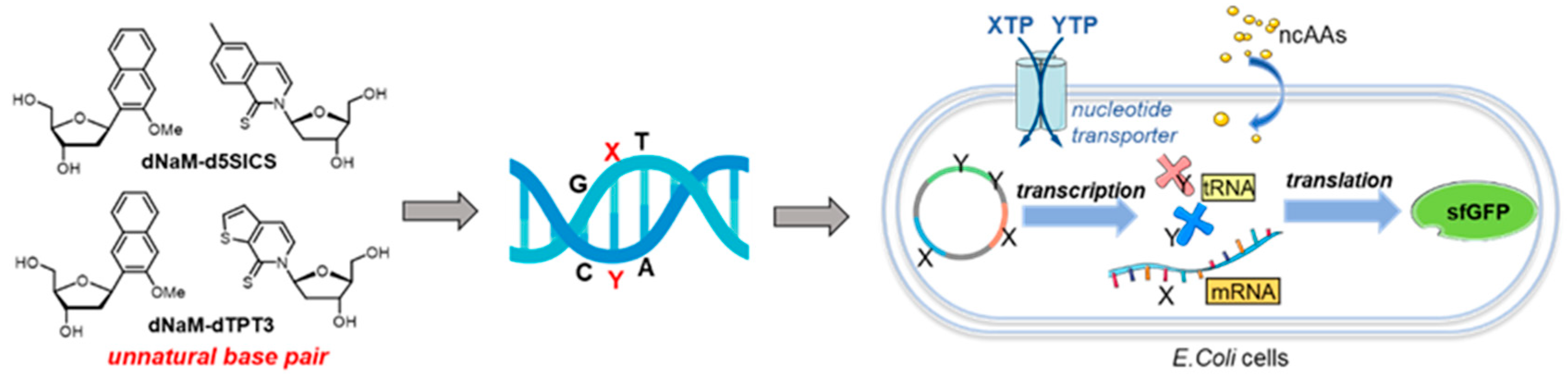 Molecules 25 03483 g011 Molecules 25 03483 g011