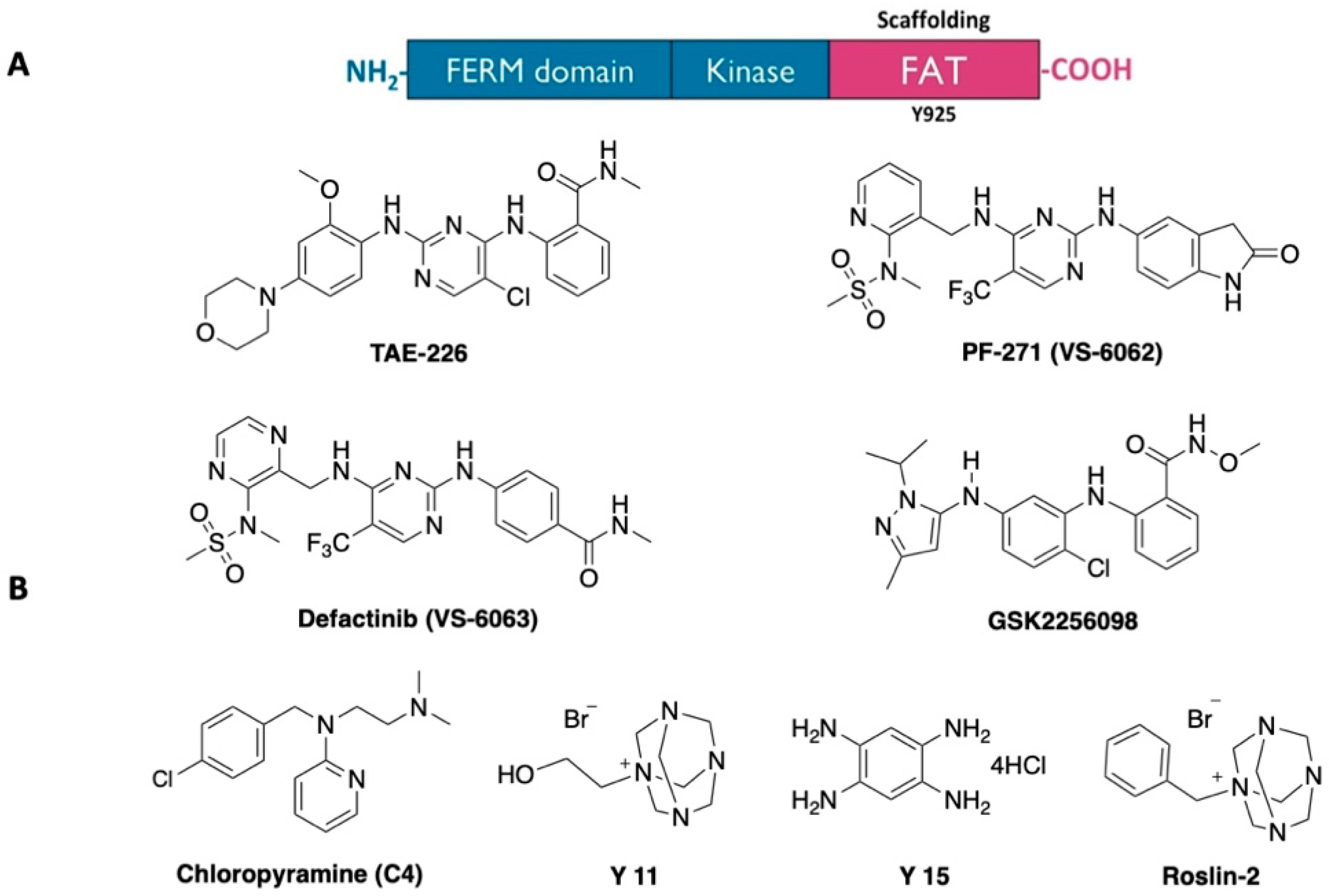Molecules 25 03488 g001 Molecules 25 03488 g001