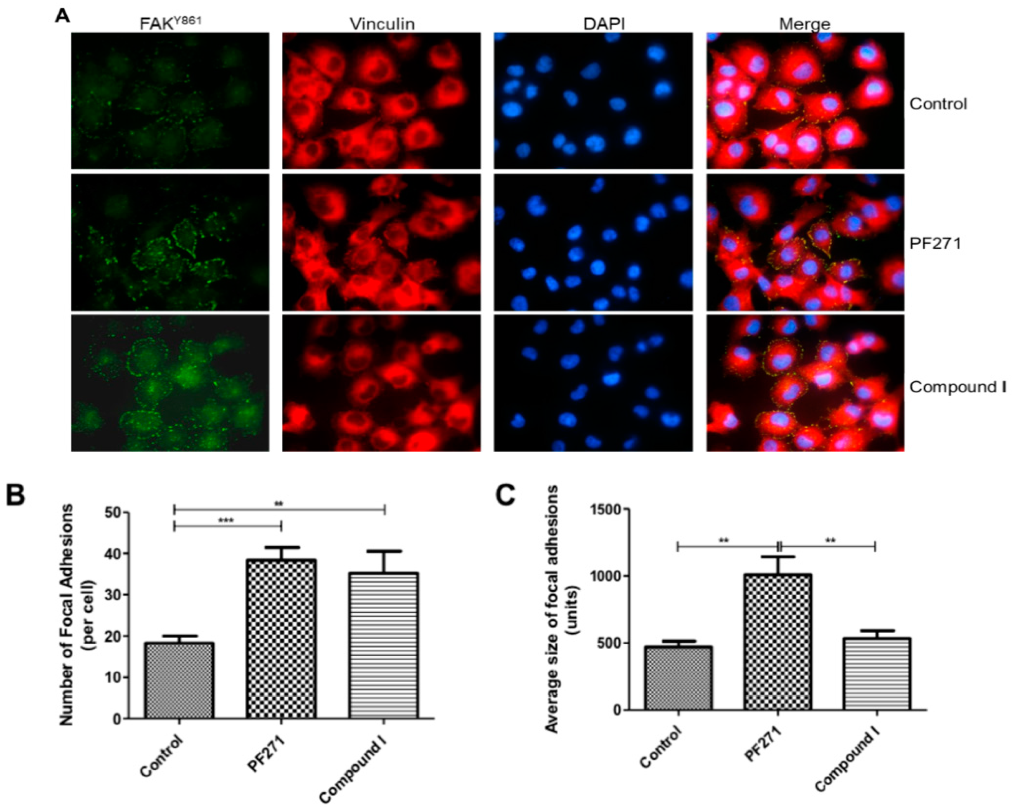 Molecules 25 03488 g008 Molecules 25 03488 g008