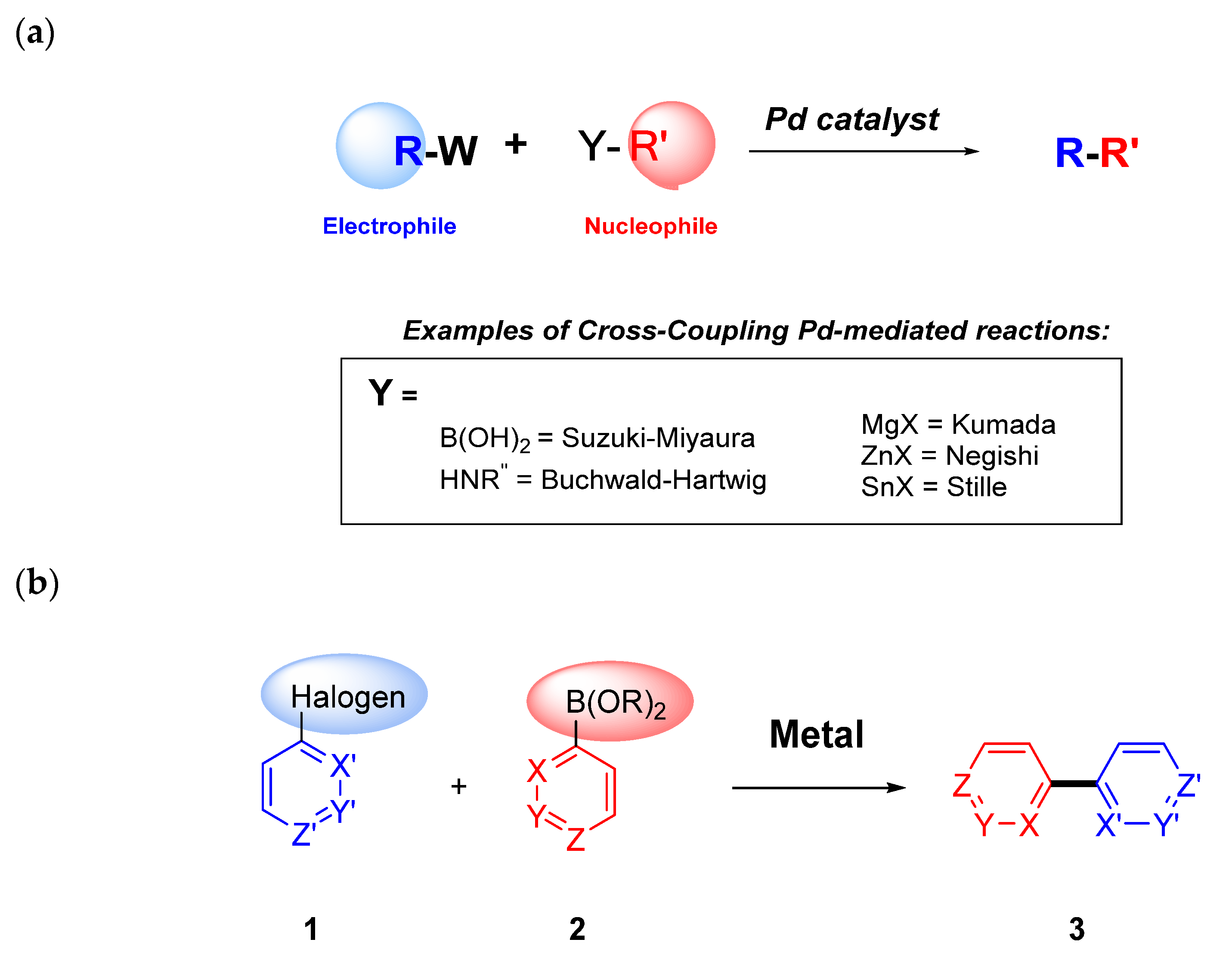 Molecules 25 03493 g001 Molecules 25 03493 g001