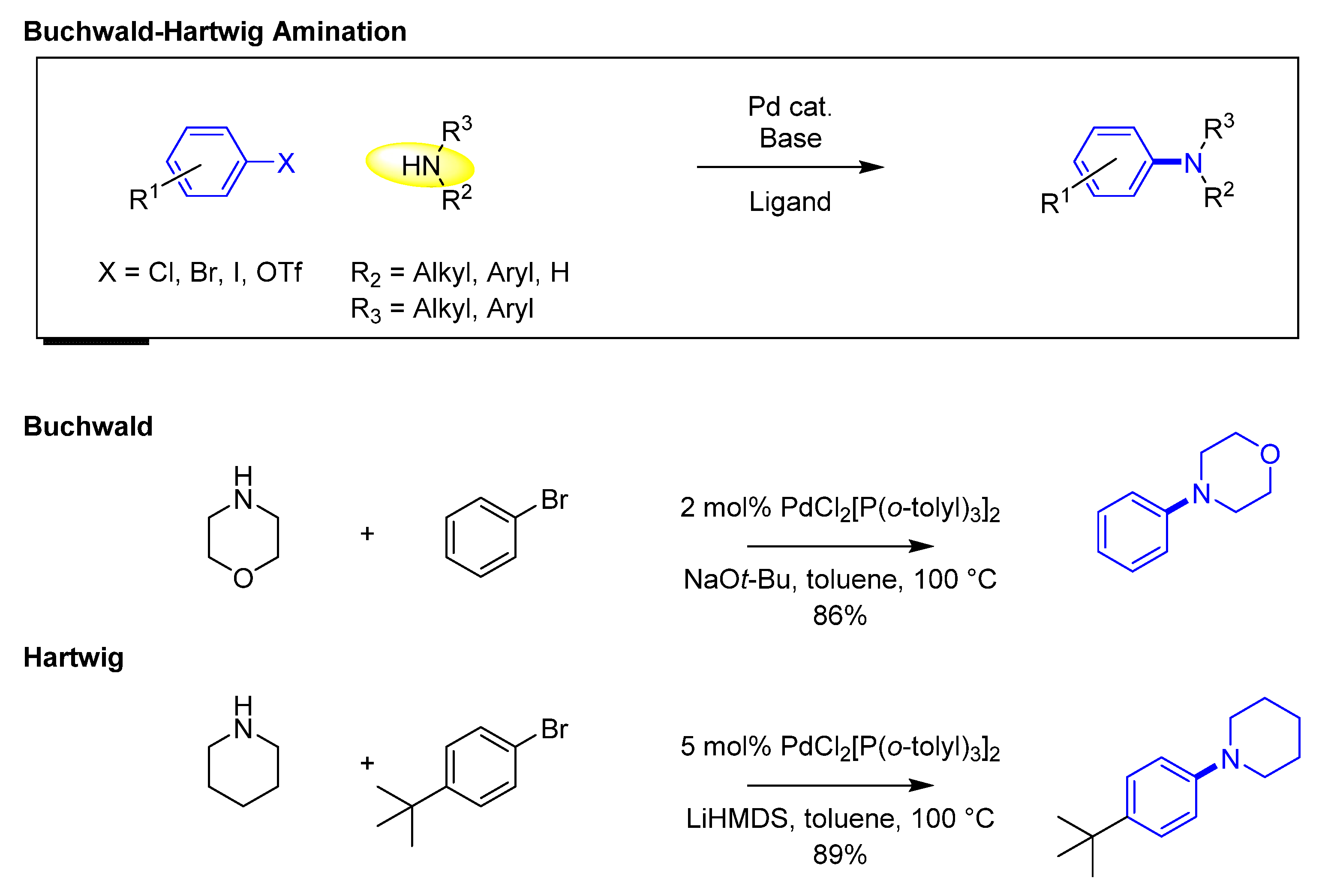 Molecules 25 03493 g005 Molecules 25 03493 g005