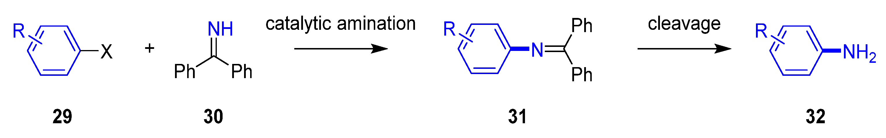 Molecules 25 03493 g007 Molecules 25 03493 g007
