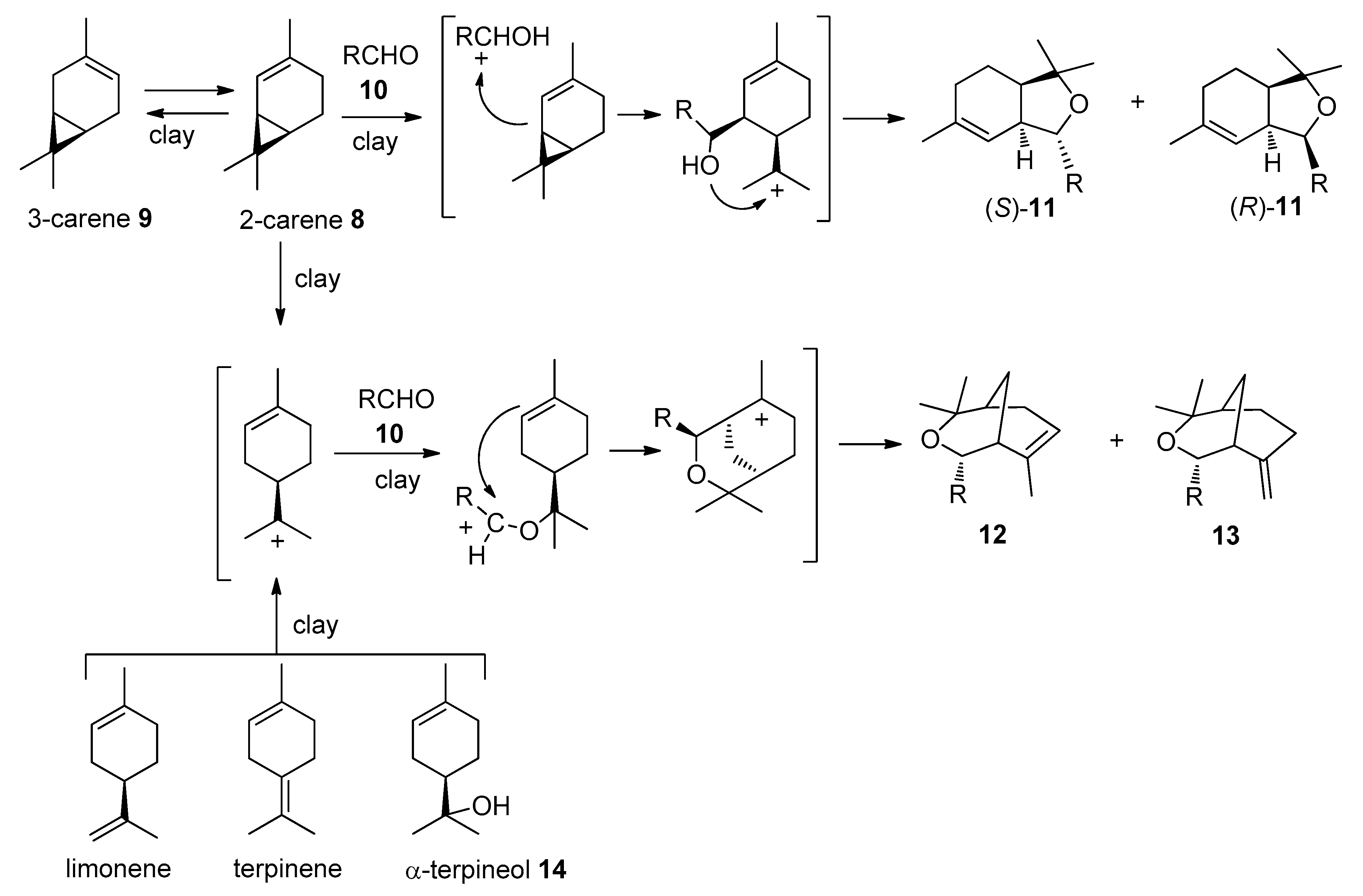 Molecules 25 03496 sch003