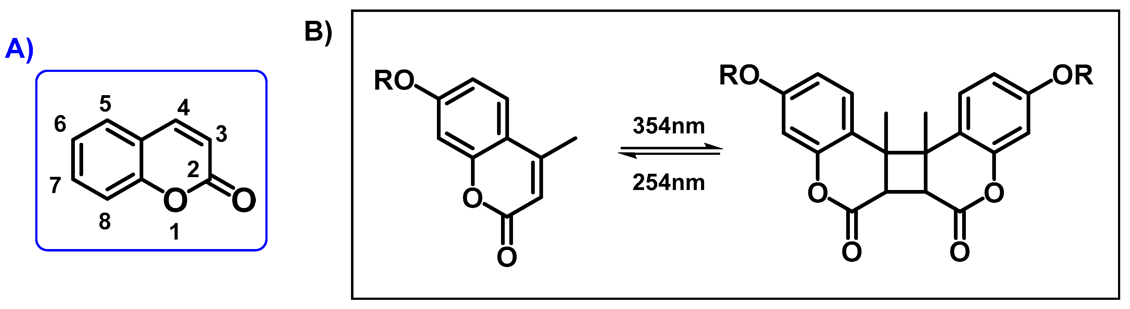 Molecules 25 03497 sch001