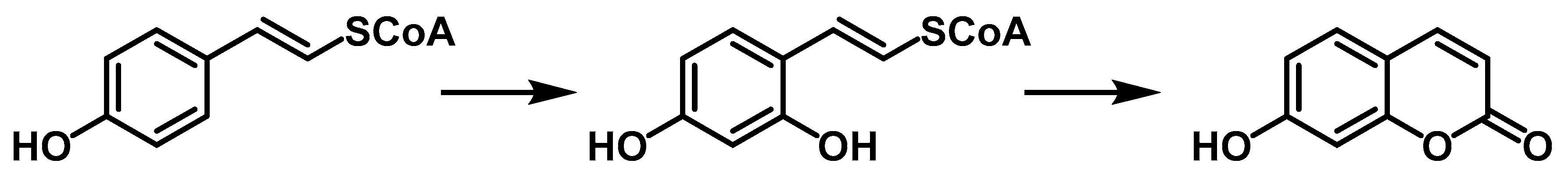 Molecules 25 03497 sch002
