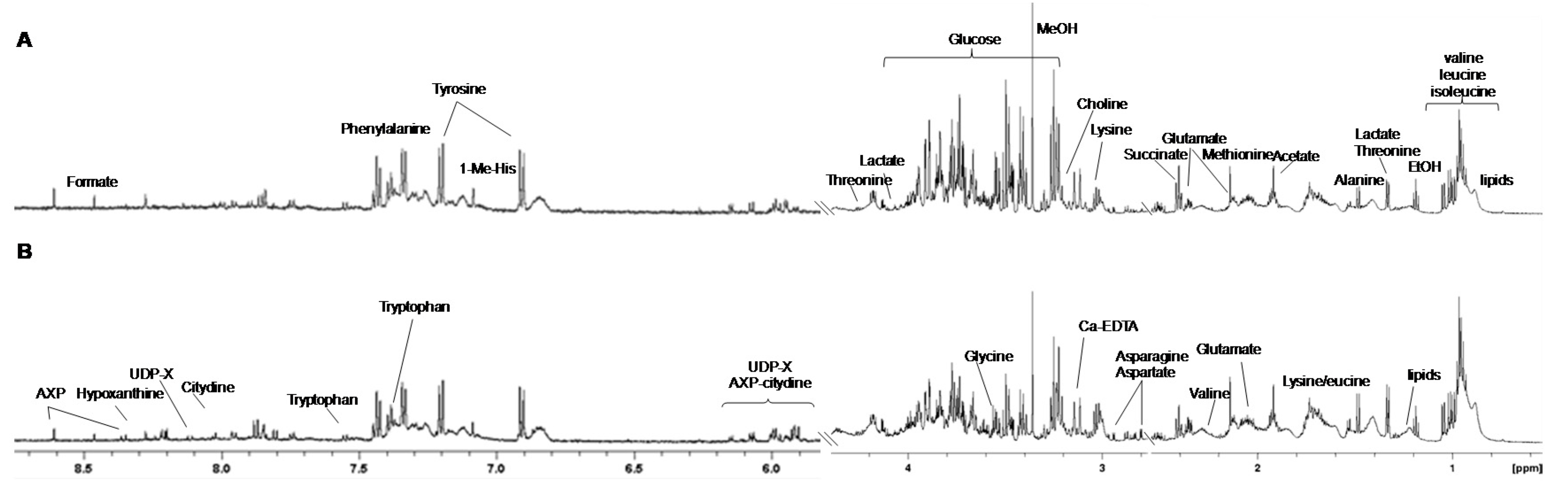 Molecules 25 03502 g002