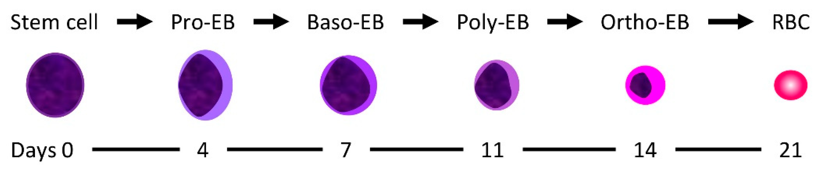 Molecules 25 03505 g003 Molecules 25 03505 g003