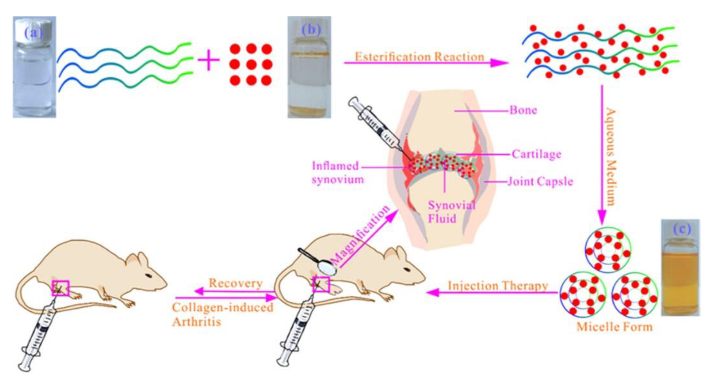 Molecules 25 03506 g003 Molecules 25 03506 g003