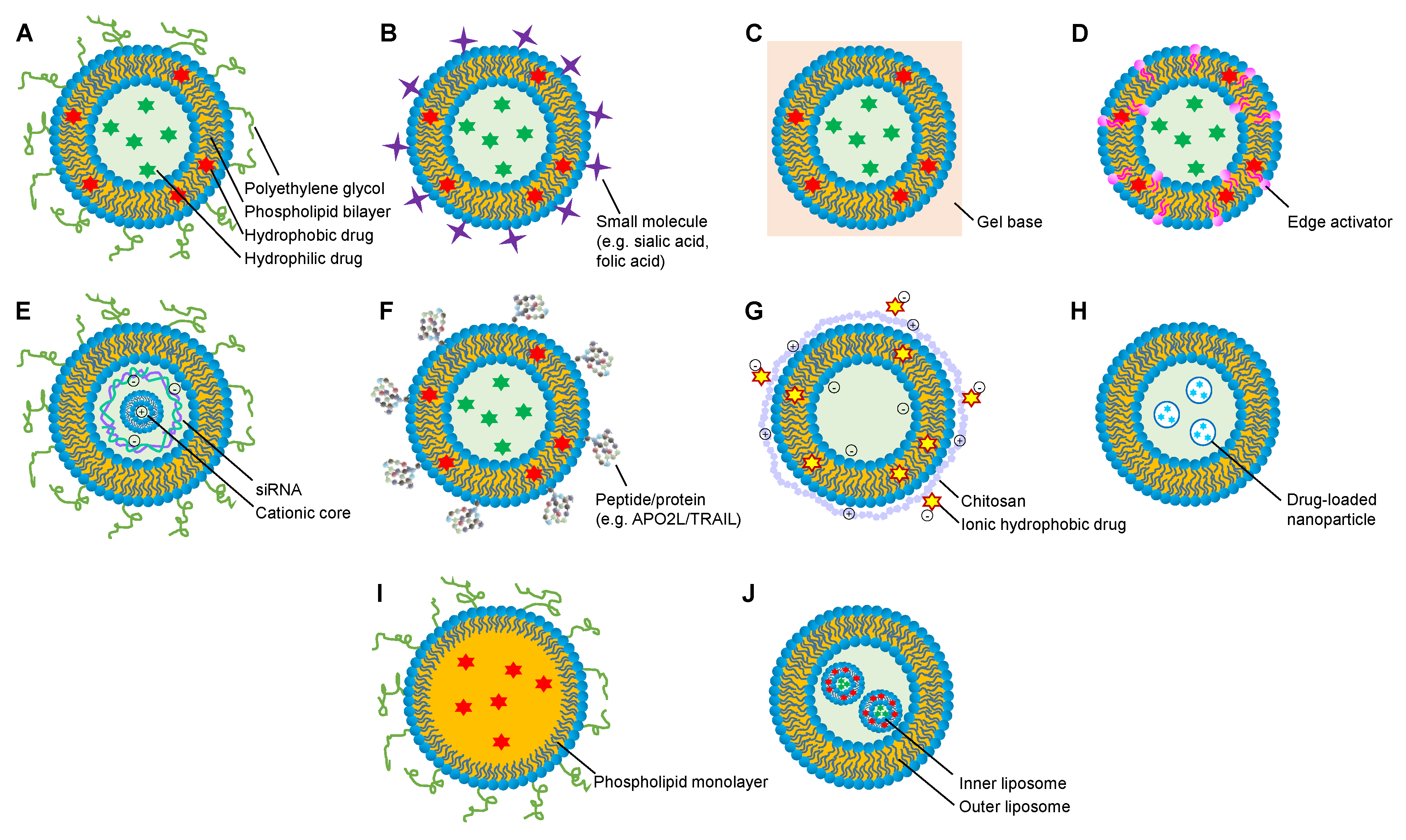 Molecules 25 03506 g004 Molecules 25 03506 g004