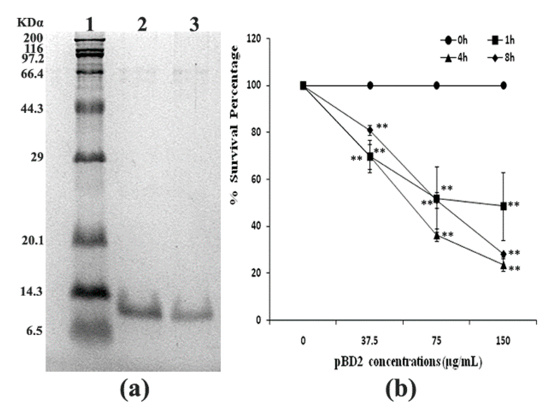 Molecules 25 03513 g001 Molecules 25 03513 g001