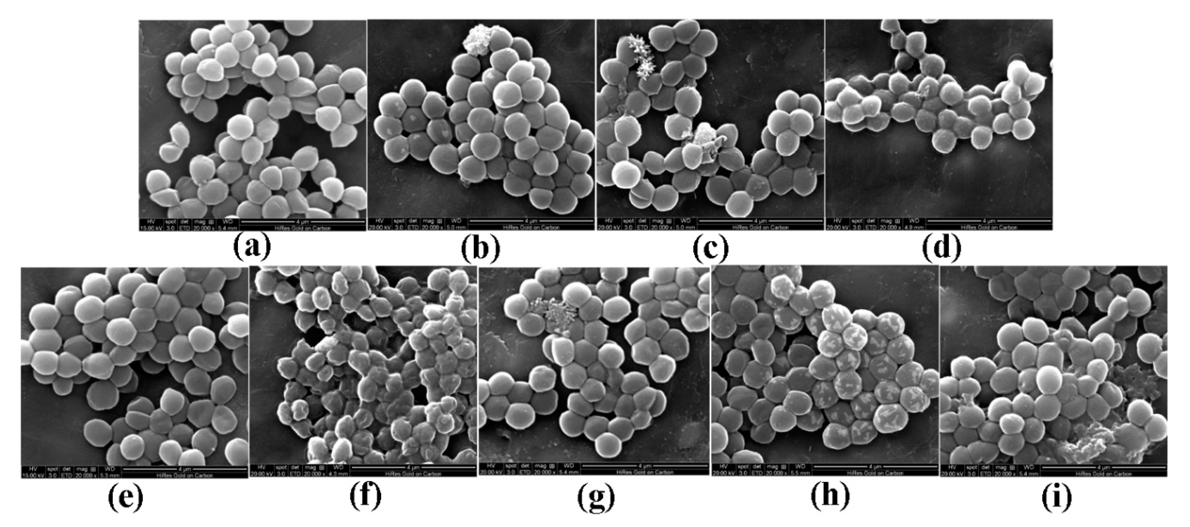 Molecules 25 03513 g002 Molecules 25 03513 g002