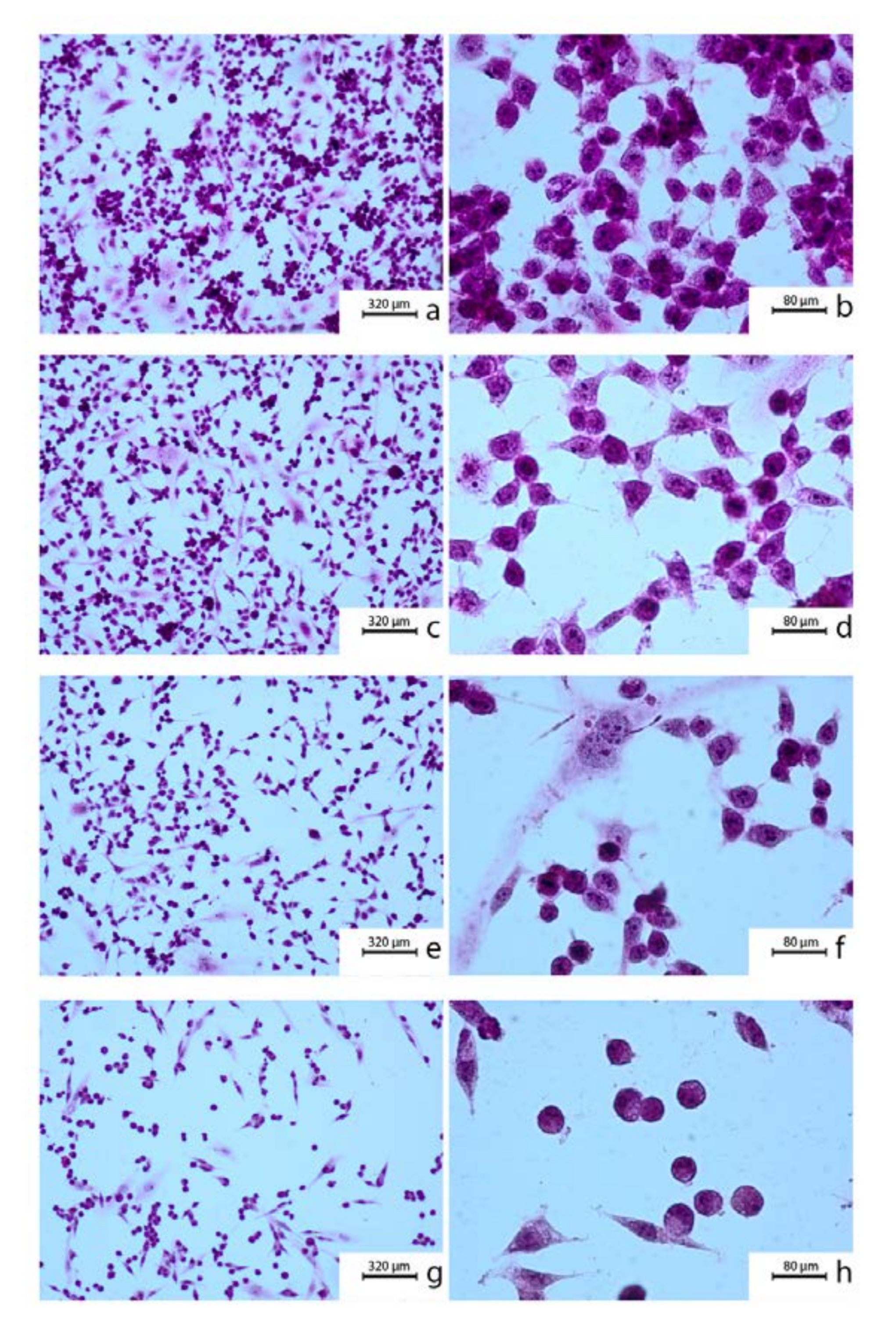 Molecules 25 03514 g001