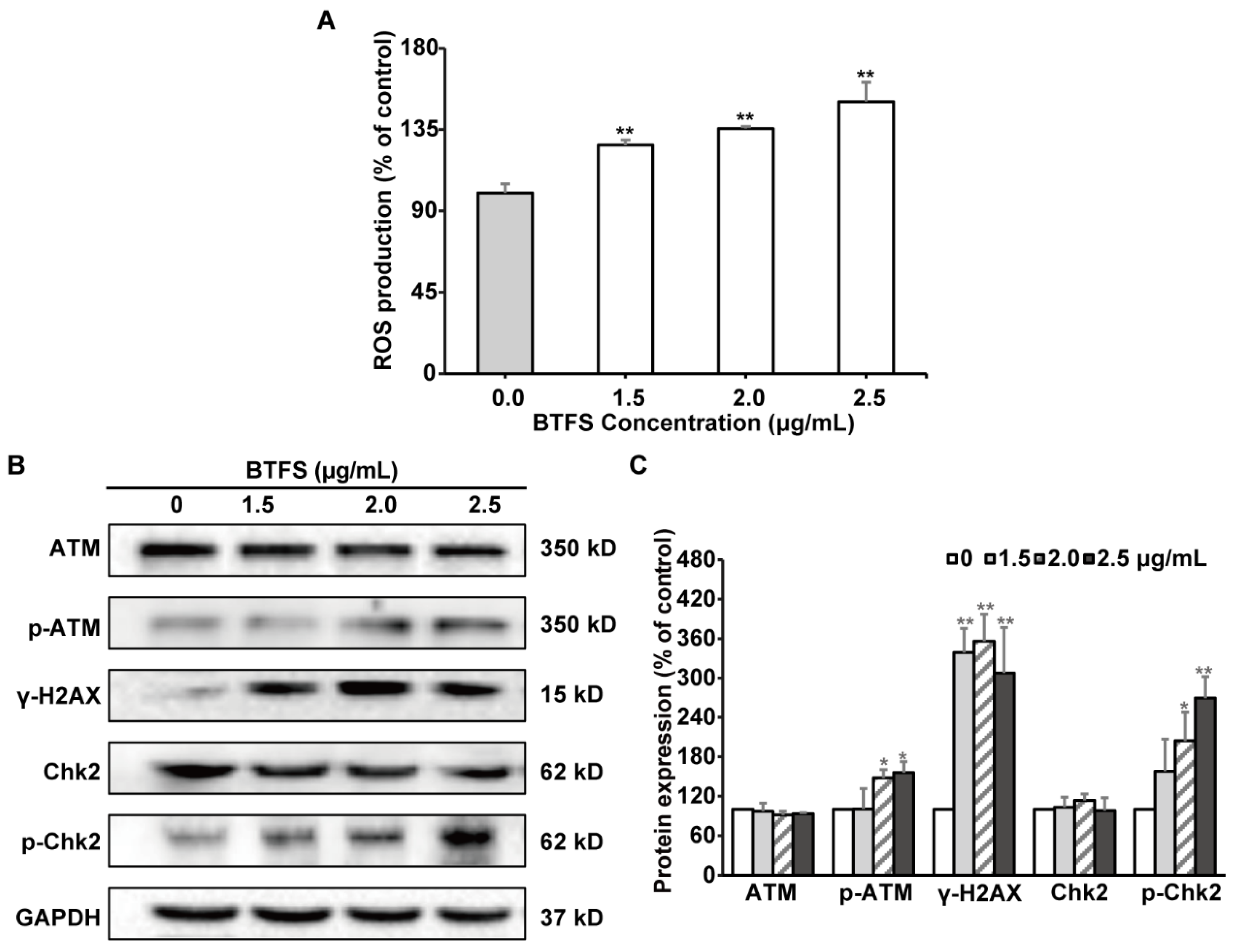 Molecules 25 03515 g006 Molecules 25 03515 g006