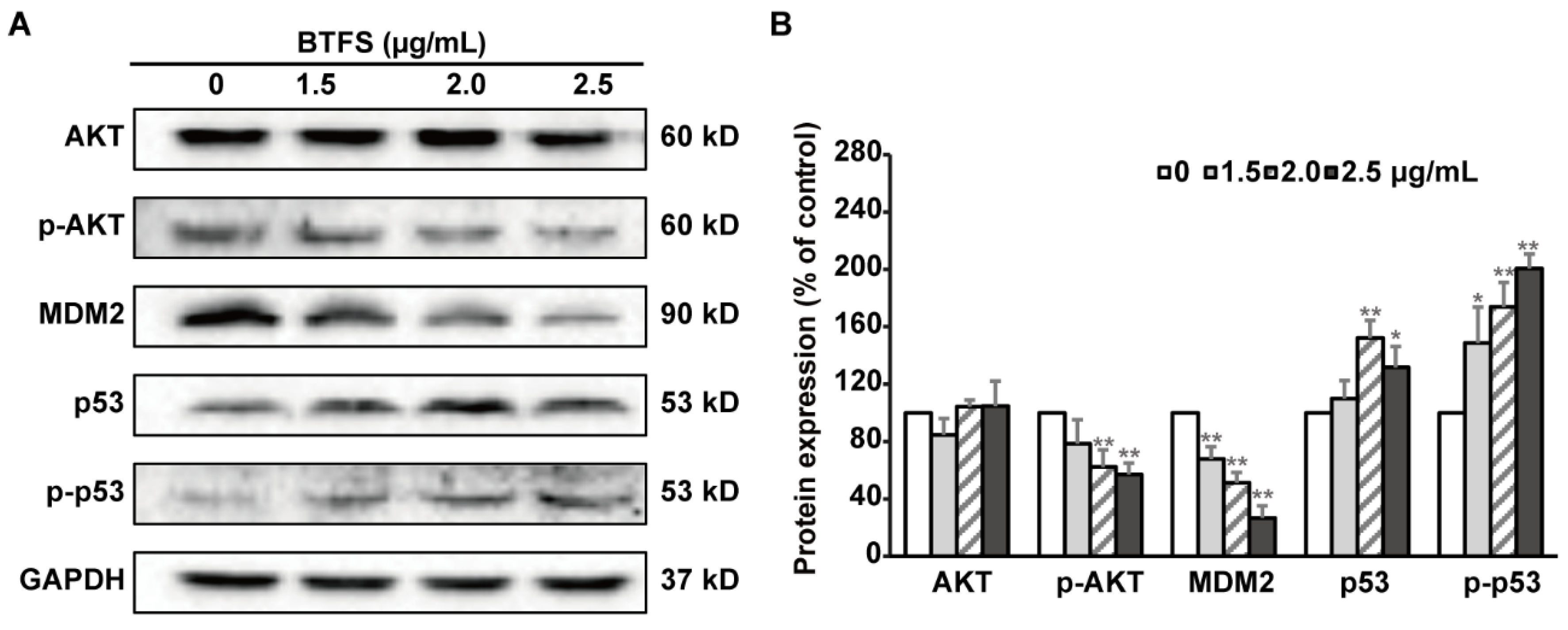 Molecules 25 03515 g007 Molecules 25 03515 g007