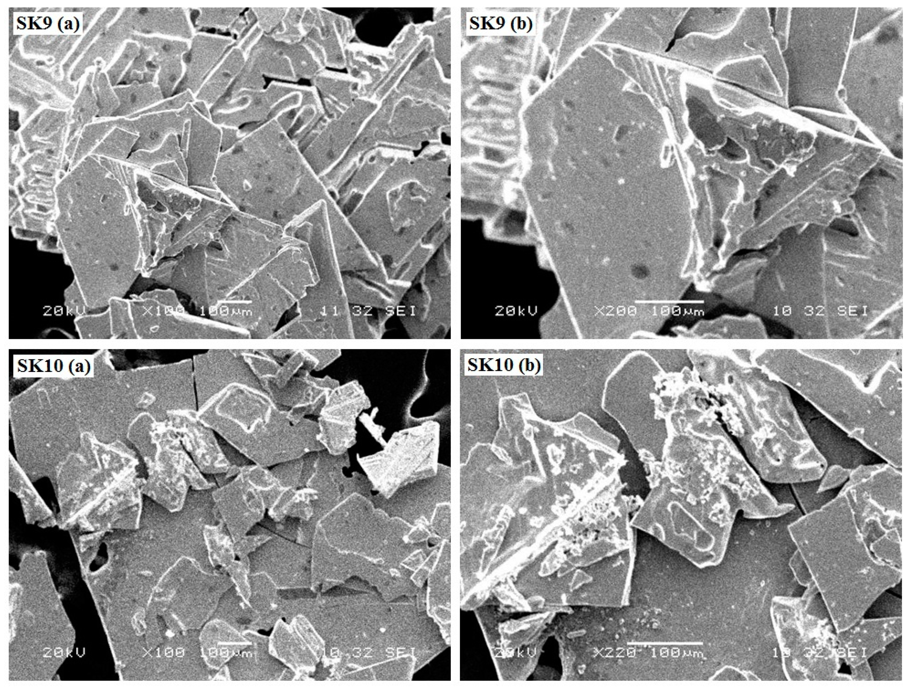 Molecules 25 03520 g002 Molecules 25 03520 g002