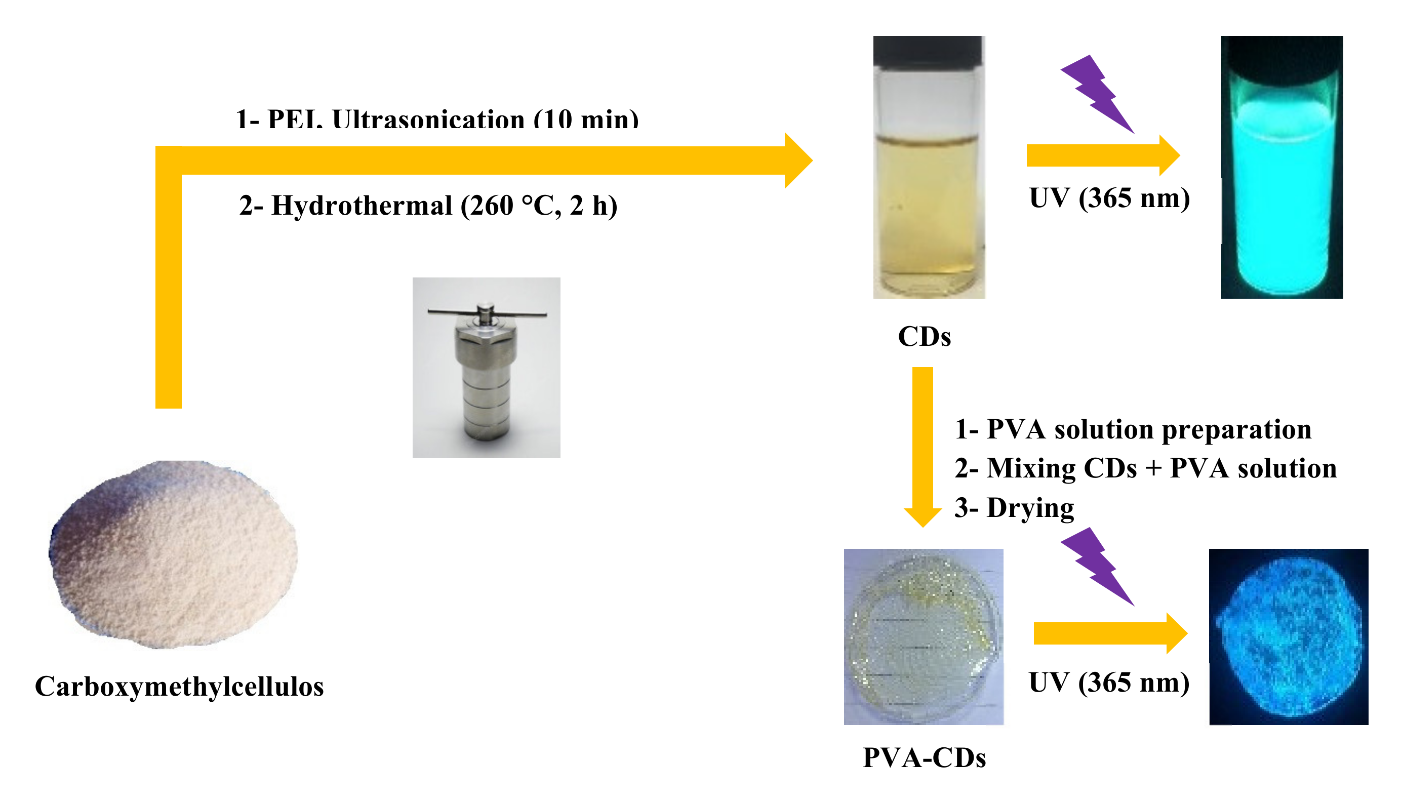 Molecules 25 03541 g001