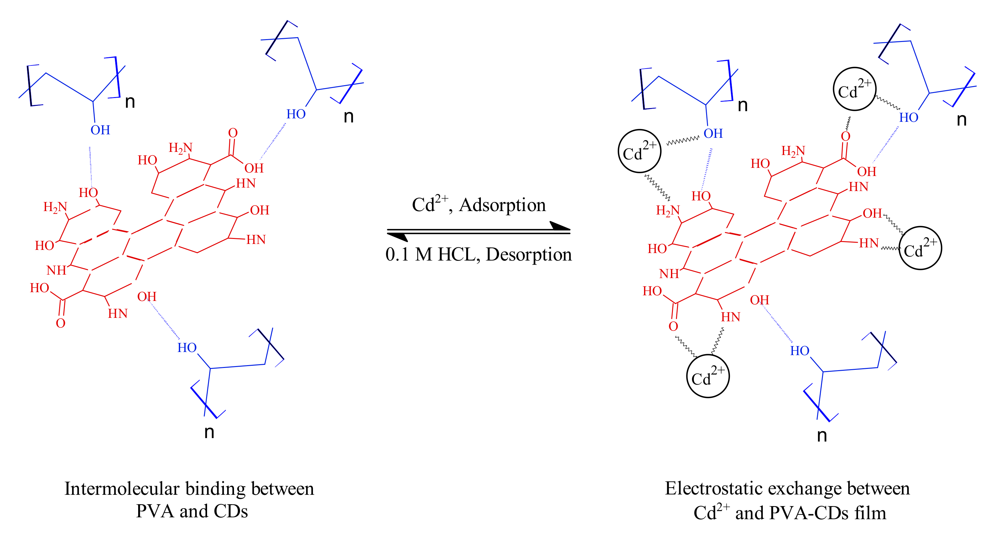 Molecules 25 03541 g006