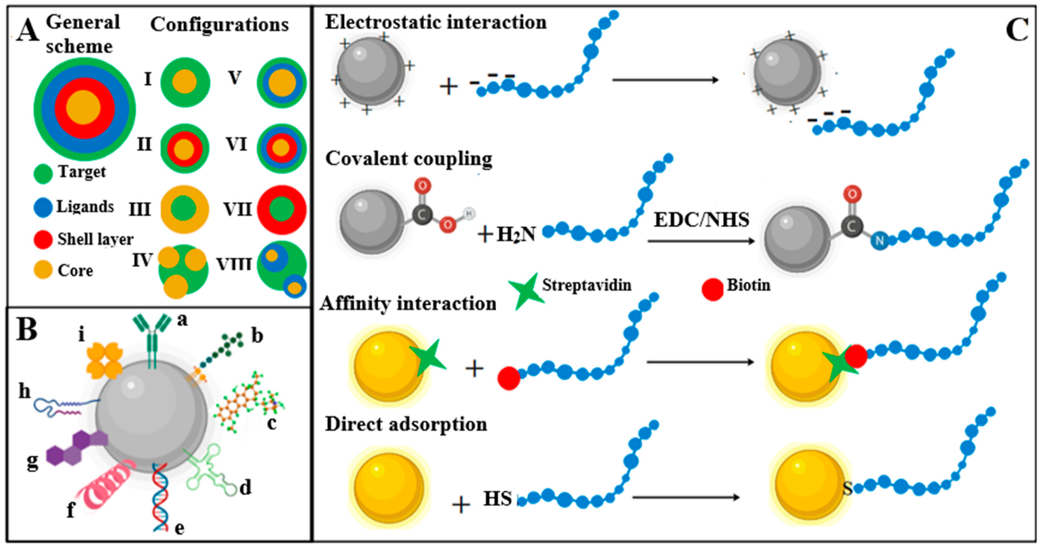 Molecules 25 03542 g001