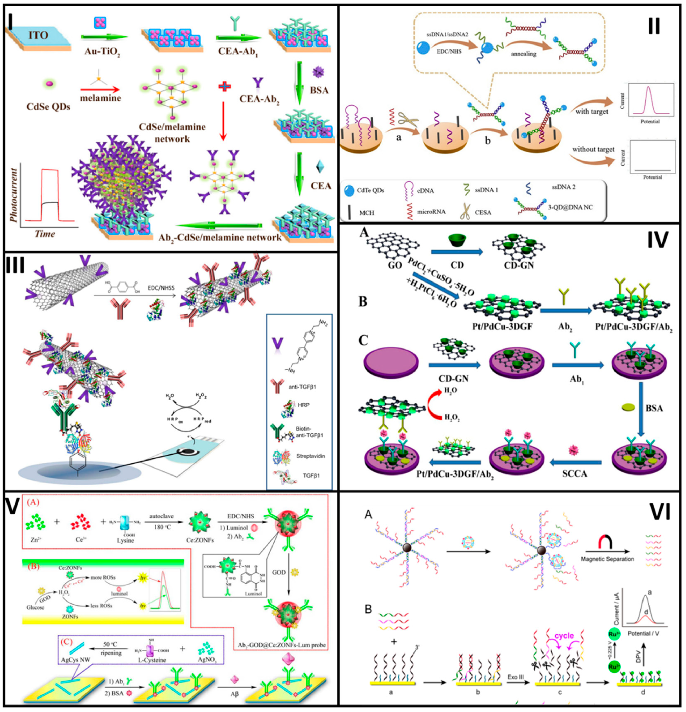 Molecules 25 03542 g003