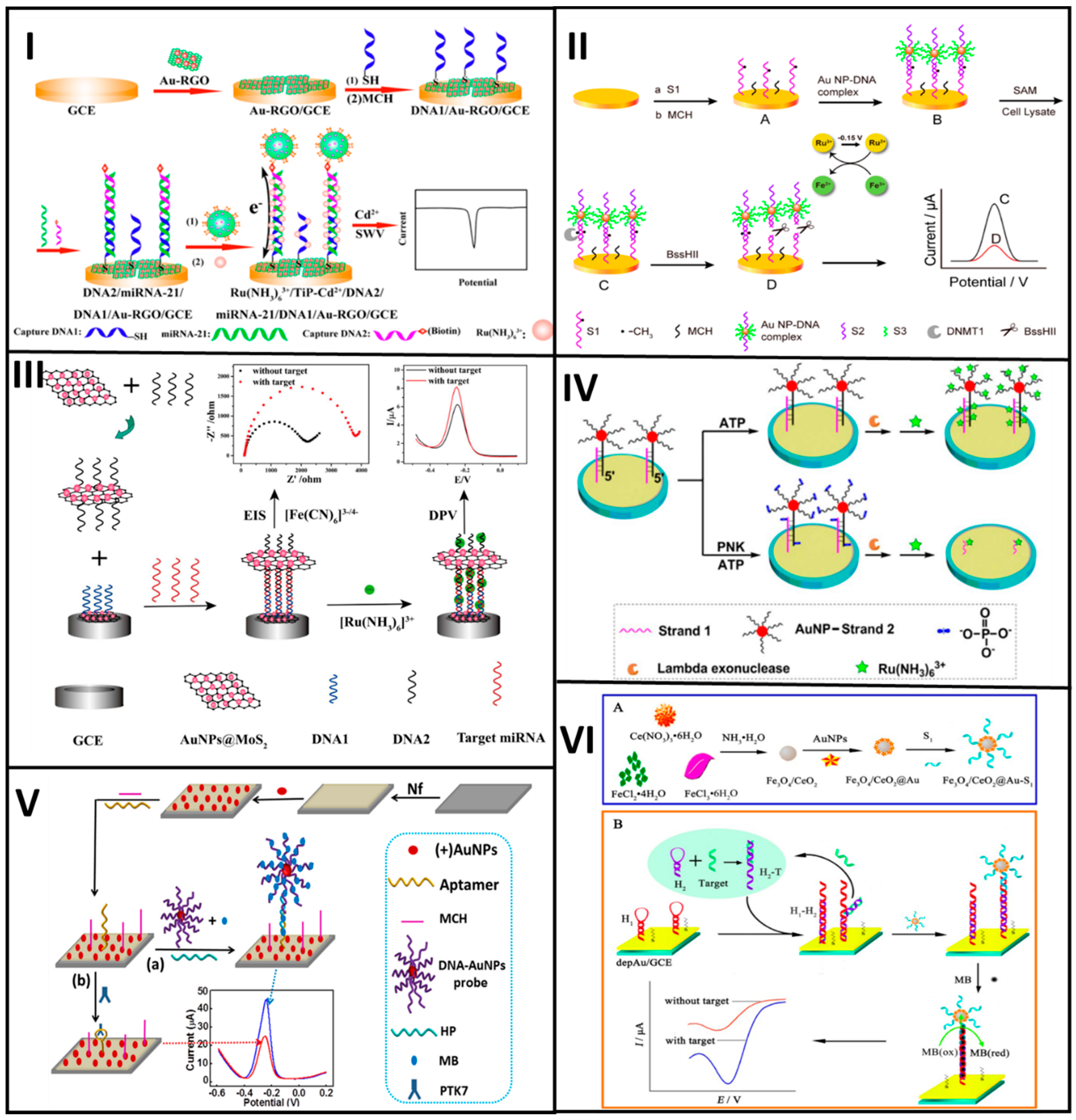 Molecules 25 03542 g006