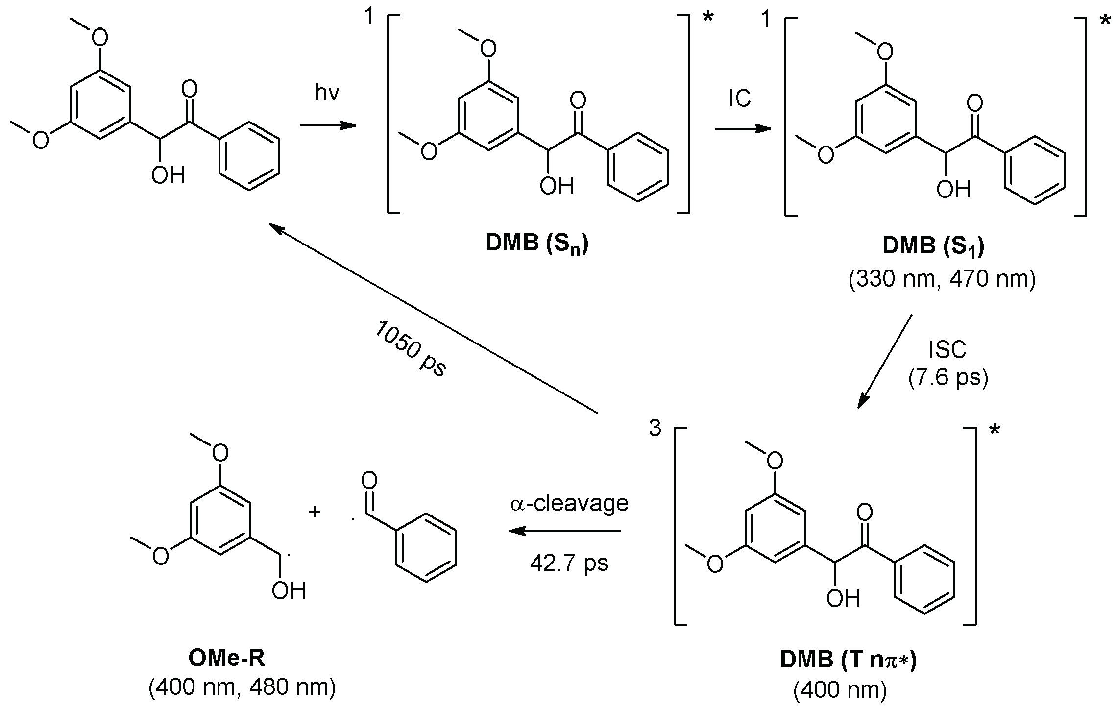 Molecules 25 03548 sch002 Molecules 25 03548 sch002