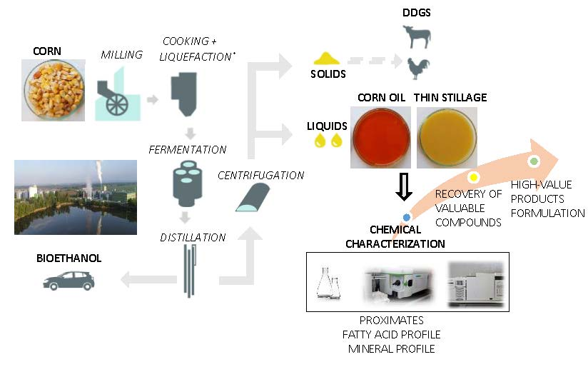 Molecules Free FullText Towards a Valorization of Corn Bioethanol Side Streams Chemical