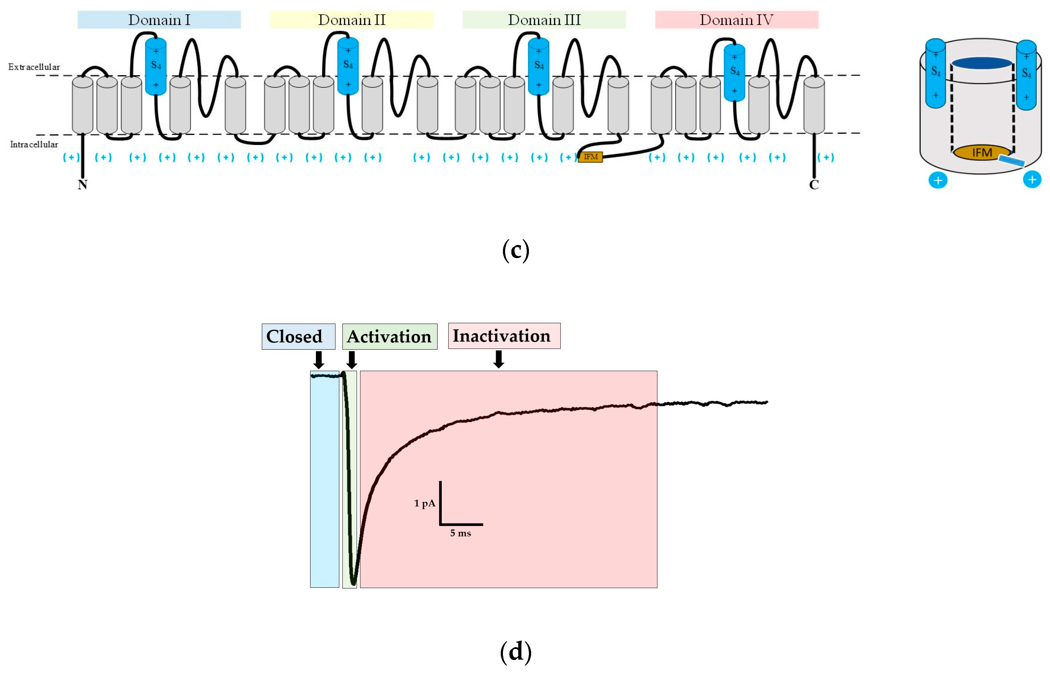 Molecules 25 03551 g001b Molecules 25 03551 g001b
