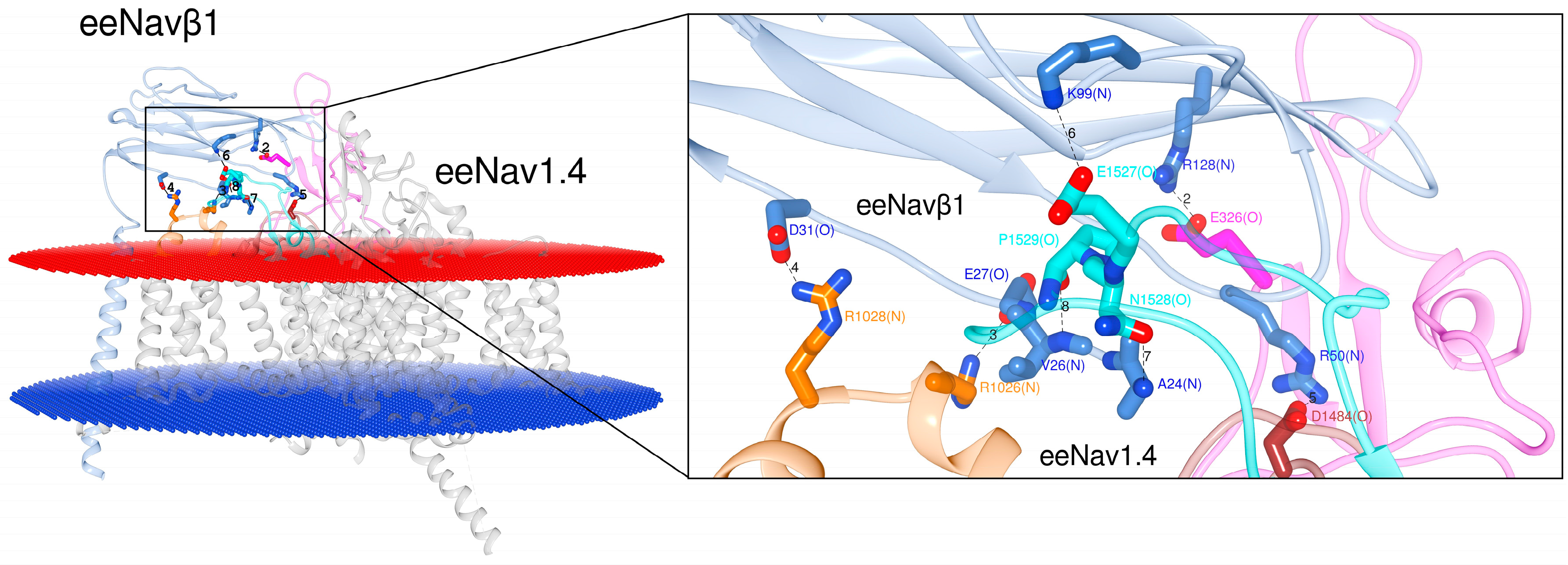 Molecules 25 03551 g002 Molecules 25 03551 g002