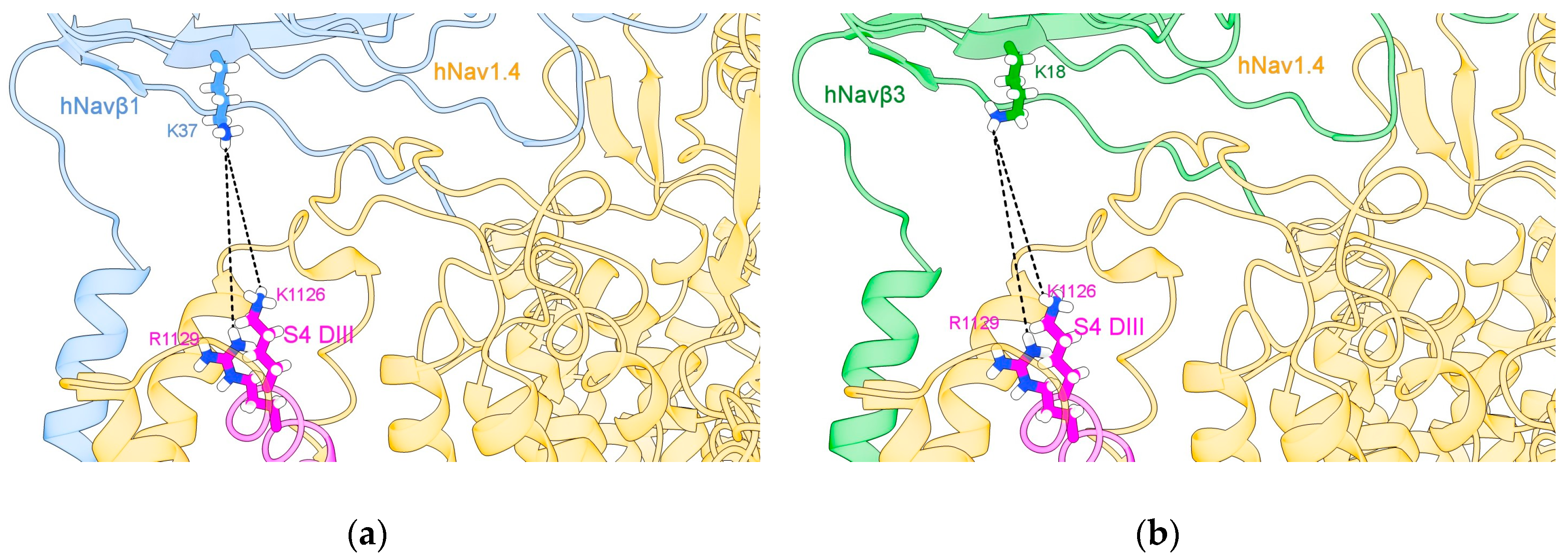 Molecules 25 03551 g005a Molecules 25 03551 g005a