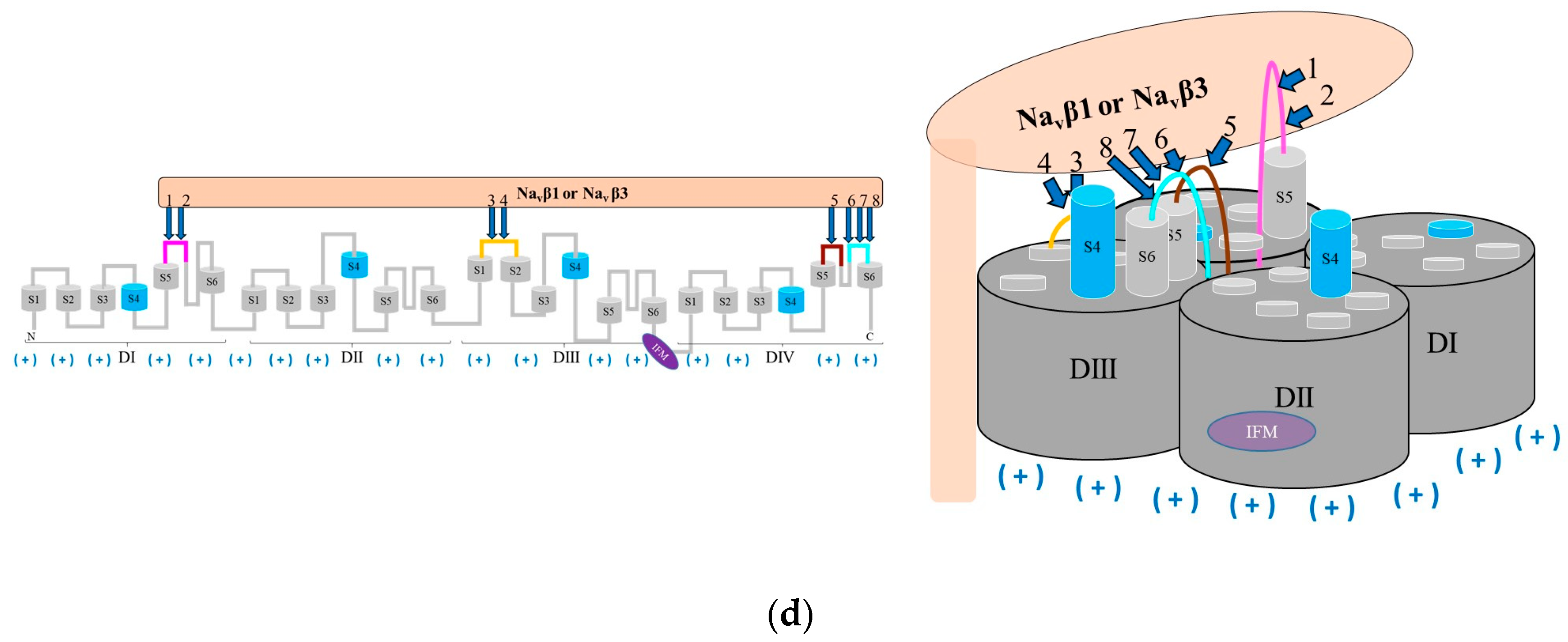 Molecules 25 03551 g006b Molecules 25 03551 g006b