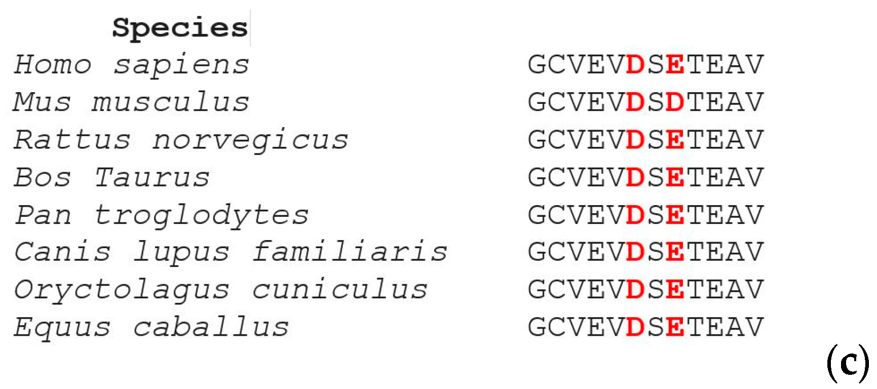 Molecules 25 03551 g007b Molecules 25 03551 g007b