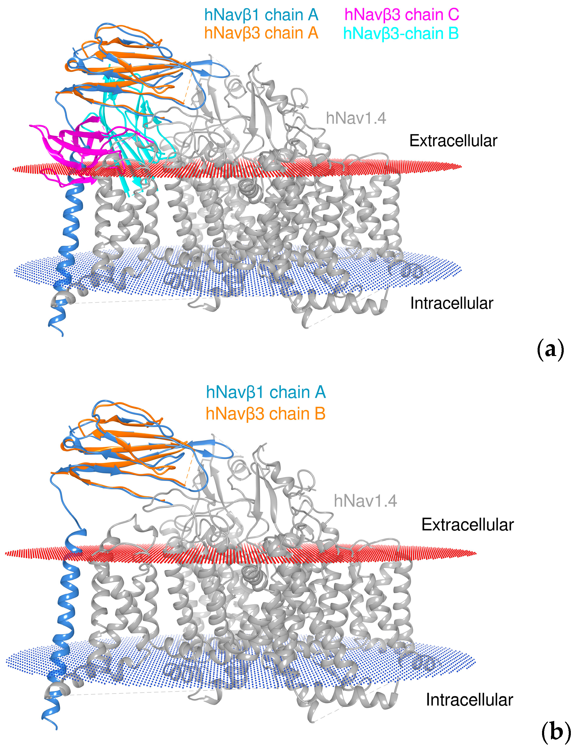 Molecules 25 03551 g008 Molecules 25 03551 g008