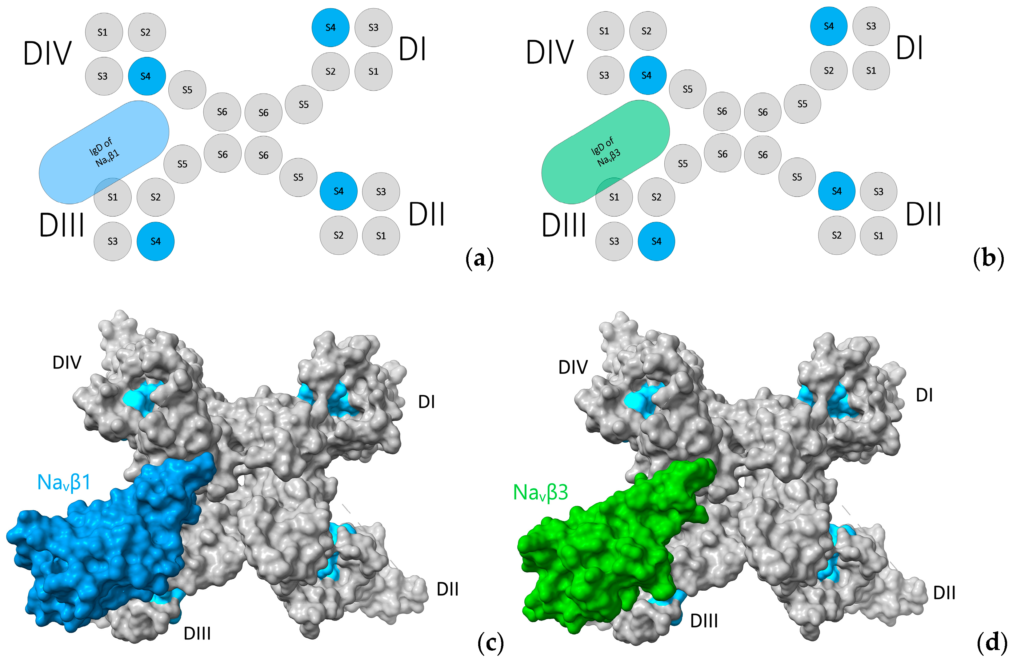 Molecules 25 03551 g009 Molecules 25 03551 g009