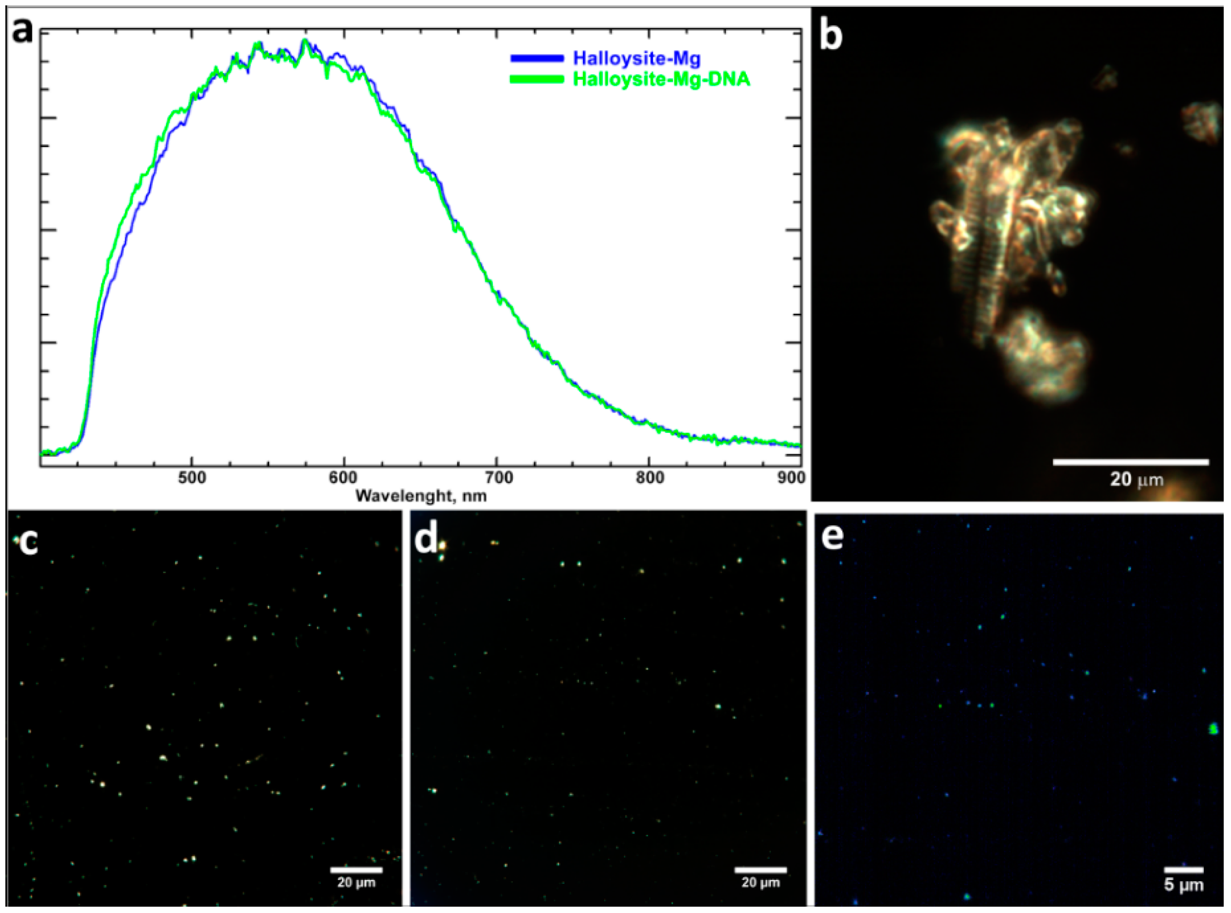 Molecules 25 03557 g006